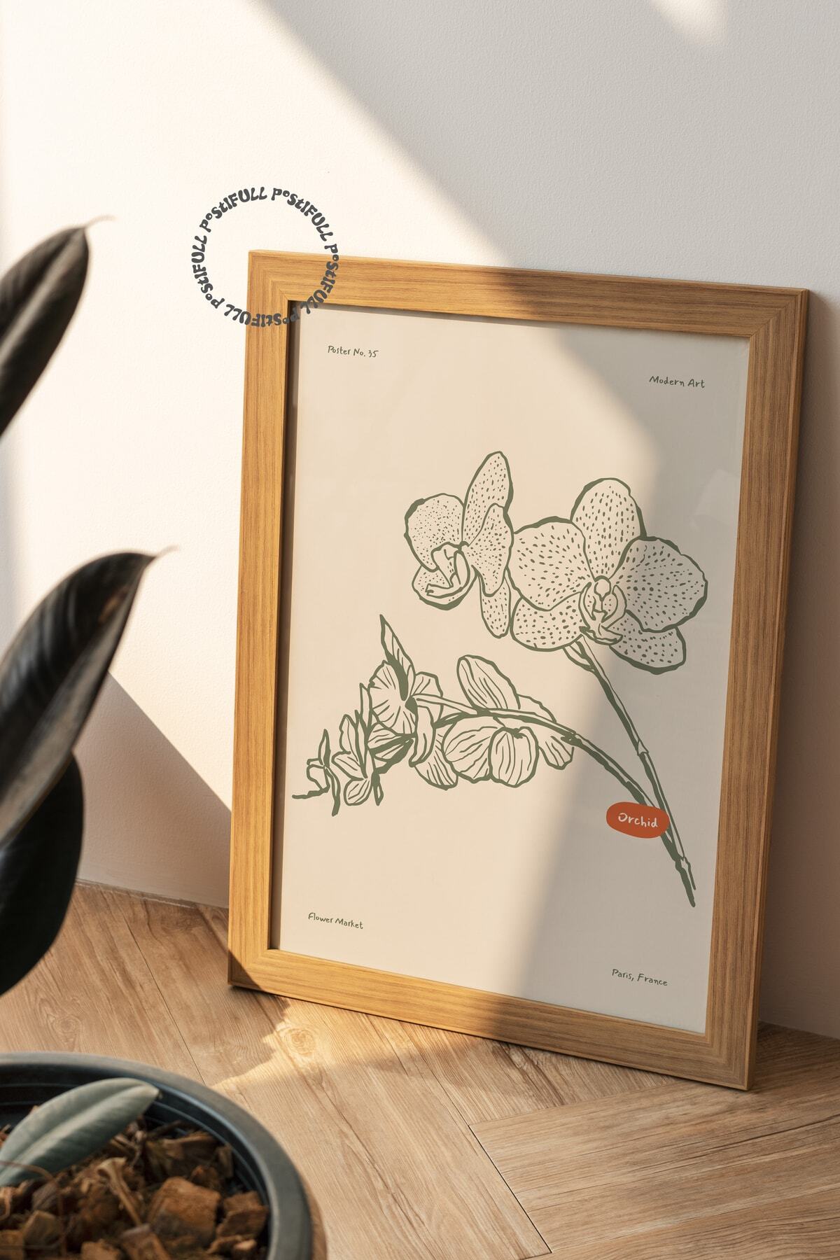 Botanik Poster - Çiçek Çizimi Çerçevesiz Poster