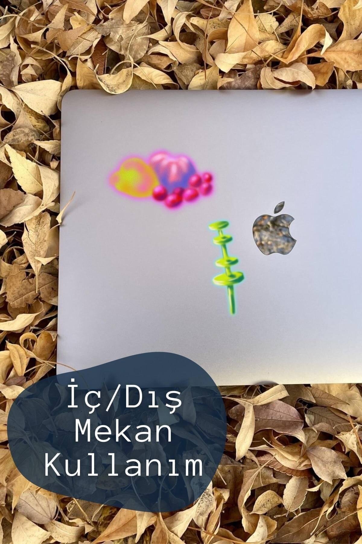 Botanik Temalı Sticker Seti - 6 Adet Etiket Seti- Telefon, Tablet, Defter Laptop Uyumlu Etiket
