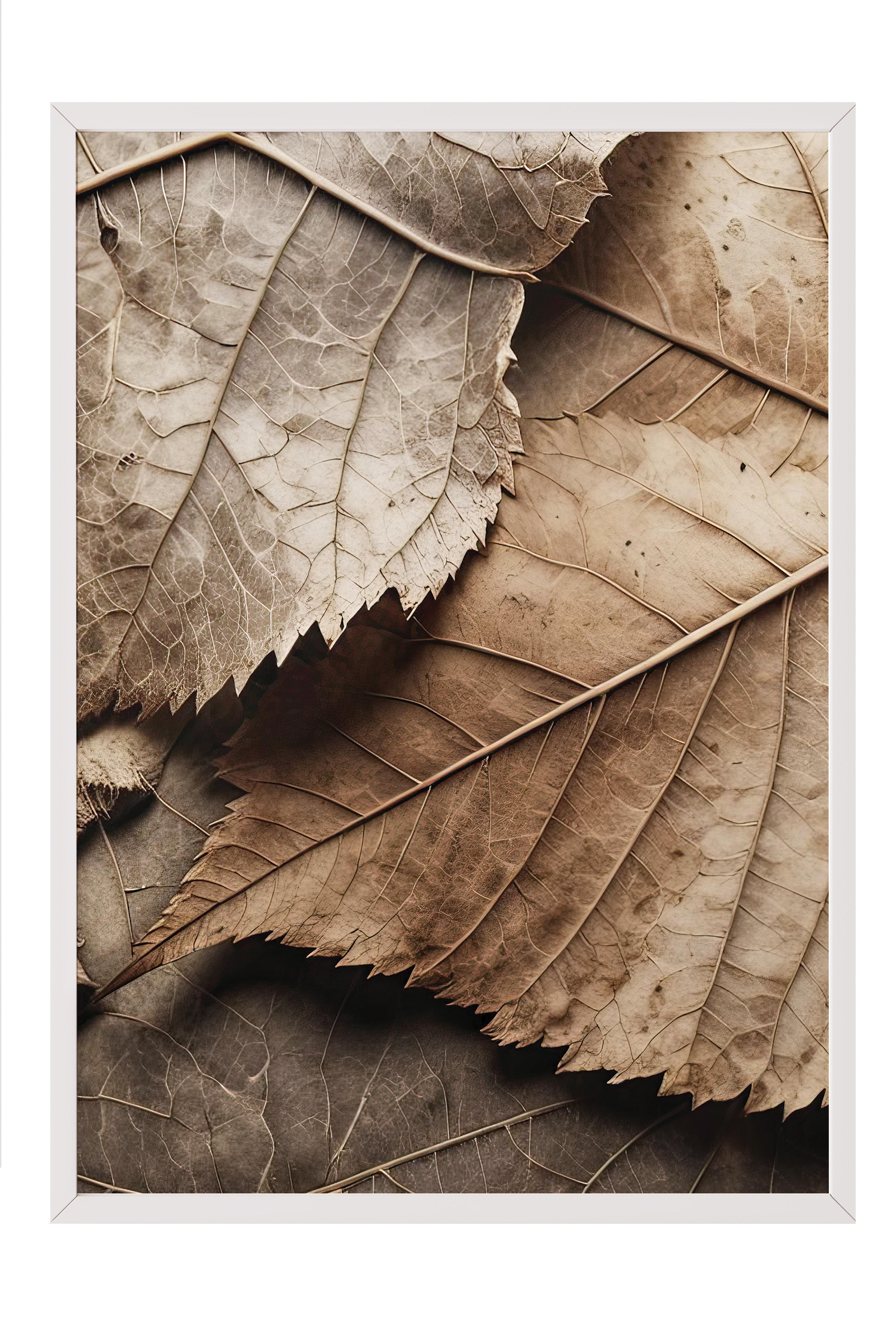 Brown Leaves Çerçeveli Tablo, Beyaz Çerçeve ve Poster, Dikey Duvar Tablosu Comfort Serisi NO:108352