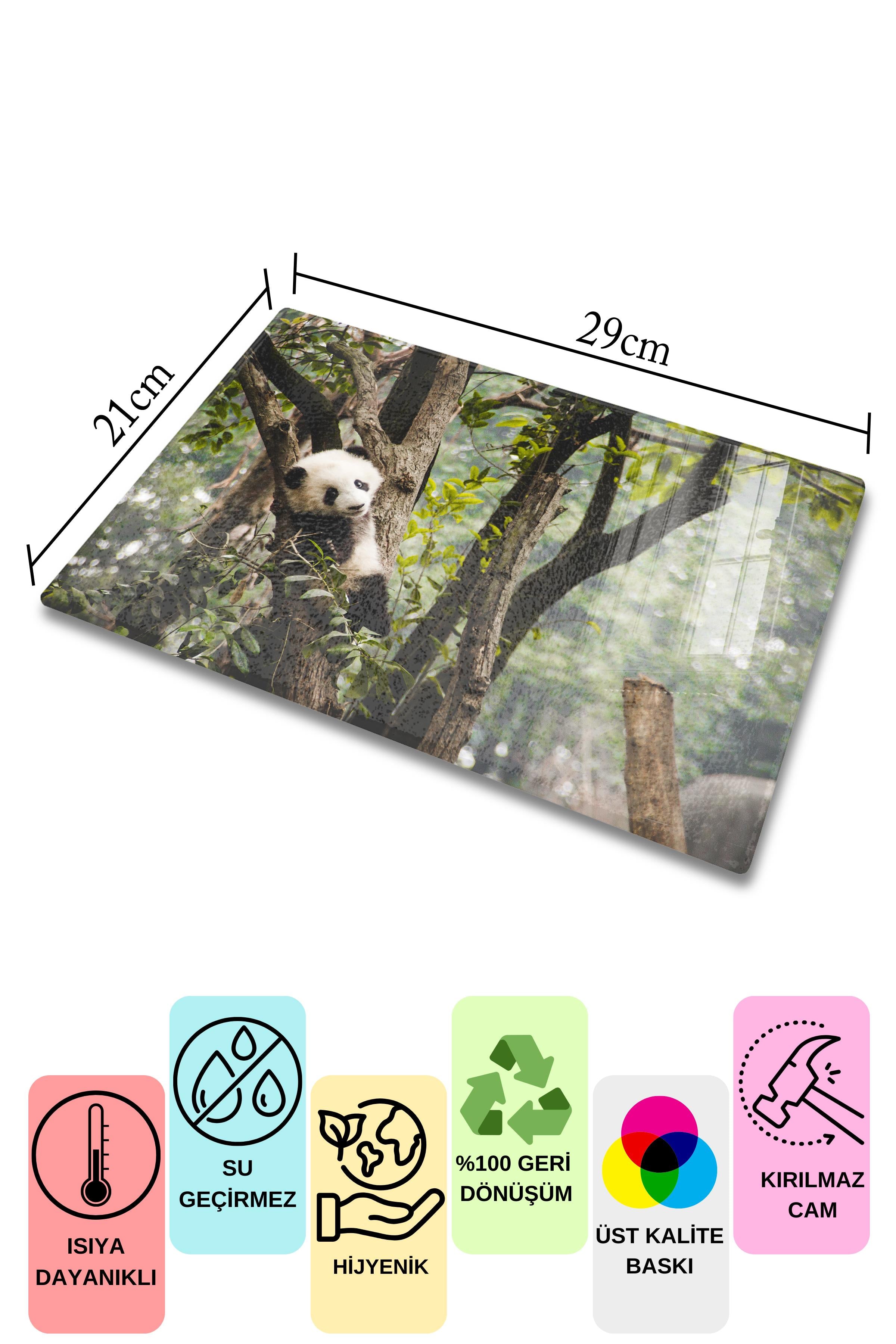 Cam Kesme Tahtası - Panda Temalı - 21*30cm - Doğrama Tahtası - Estetik, Dekoratif Sunum Tahtası