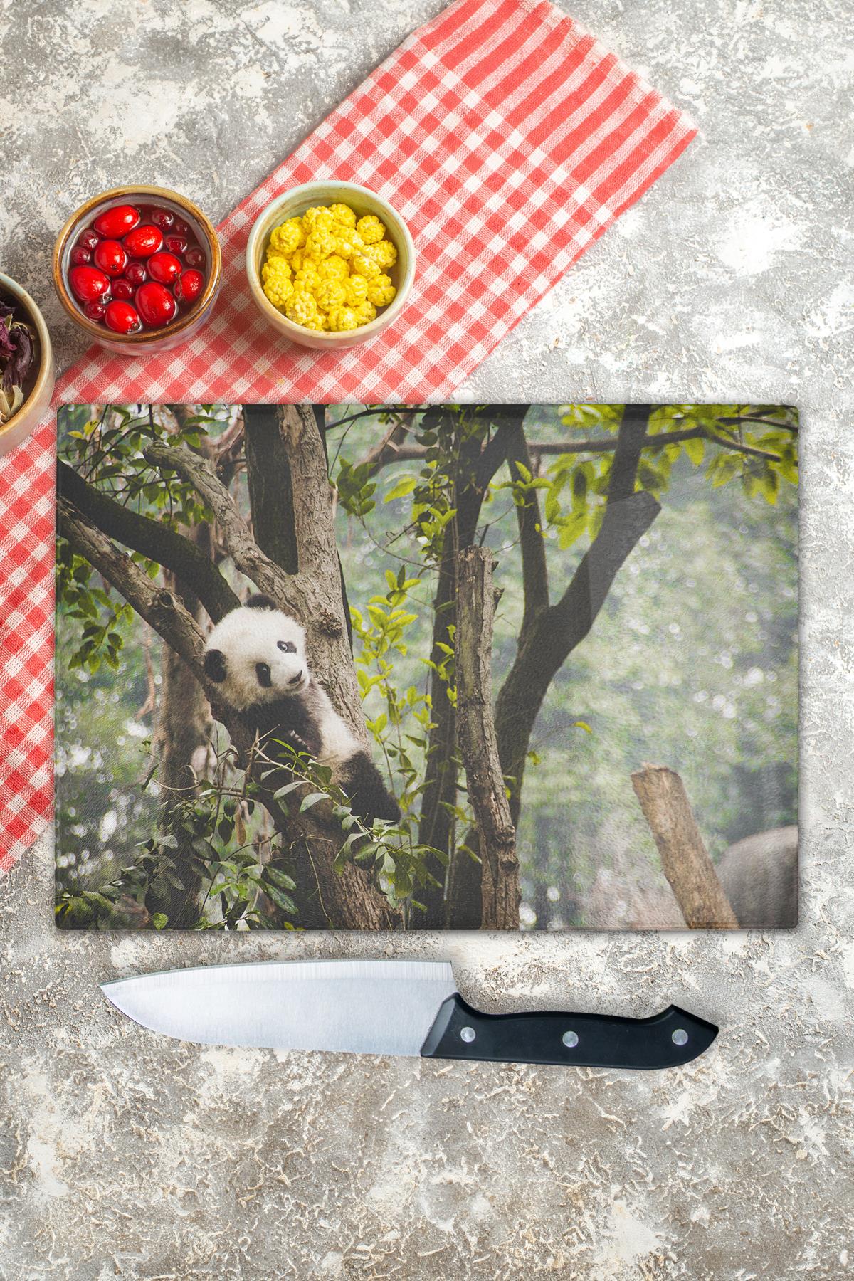 Cam Kesme Tahtası - Panda Temalı - 21*30cm - Doğrama Tahtası - Estetik, Dekoratif Sunum Tahtası