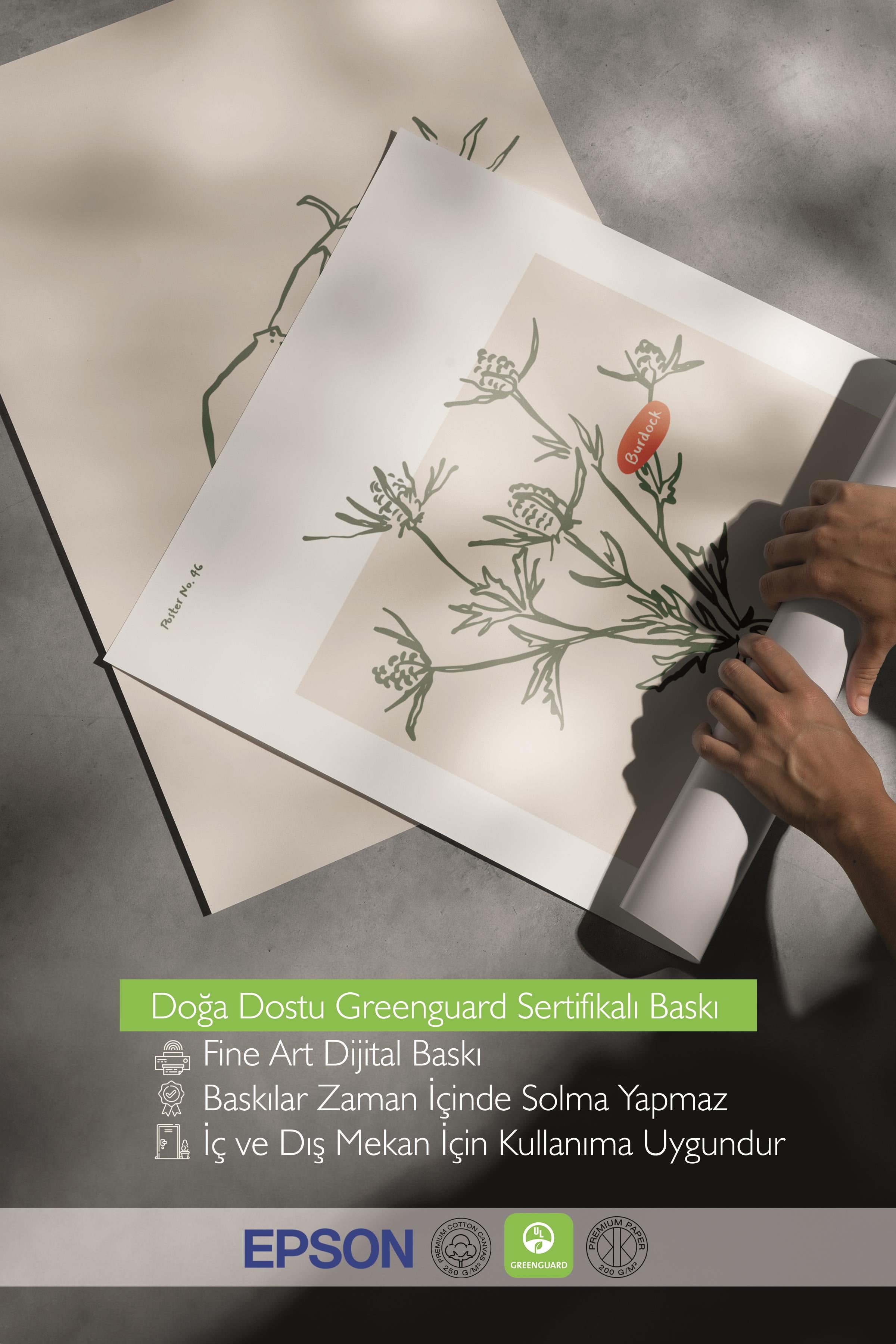 Çerçeveli Tablo Seti, 3 Adet Siyah Çerçeve ve Minimalist Botanik Temalı Poster Seti, No:300470