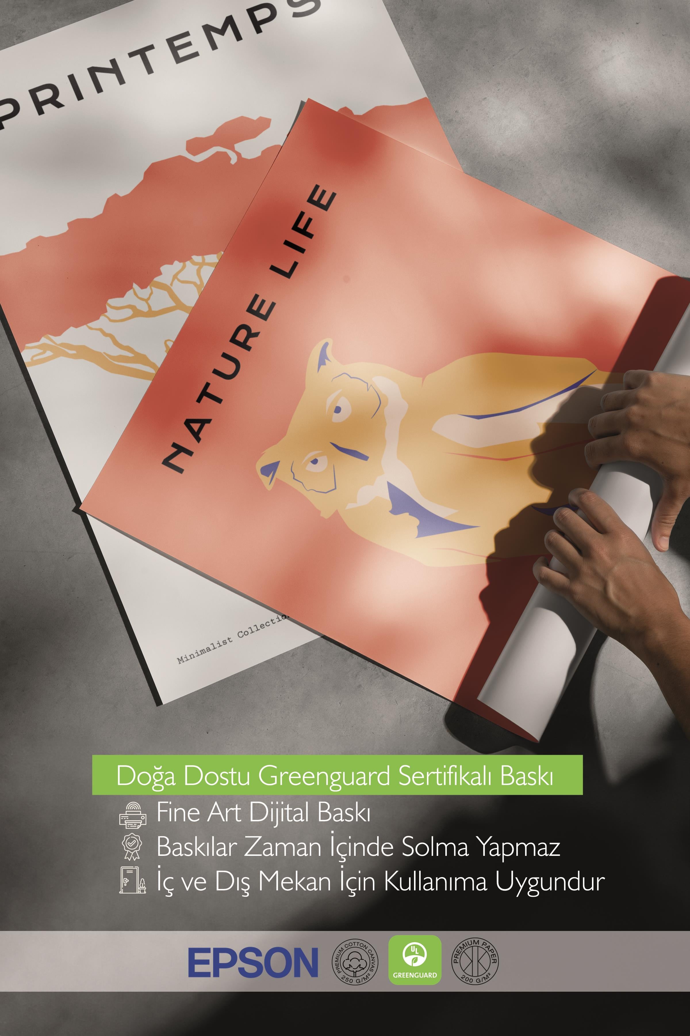 Çerçeveli Tablo Seti, 3 Adet Siyah Çerçeve ve Minimalist Vahşi Yaşam Temalı Poster Seti, No:300489