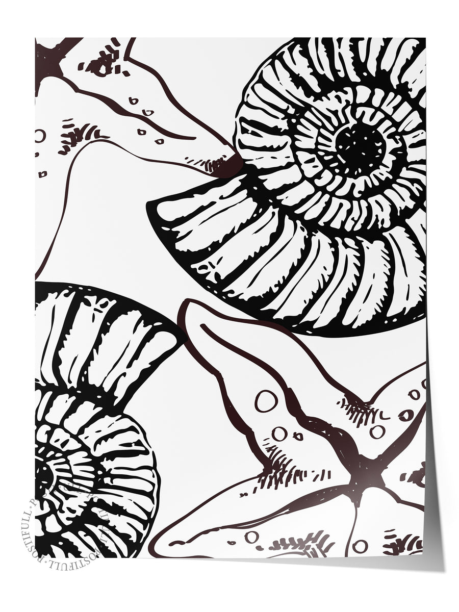 Nautilus Deseni Poster Yaz Seçkisi Çerçevesiz Poster
