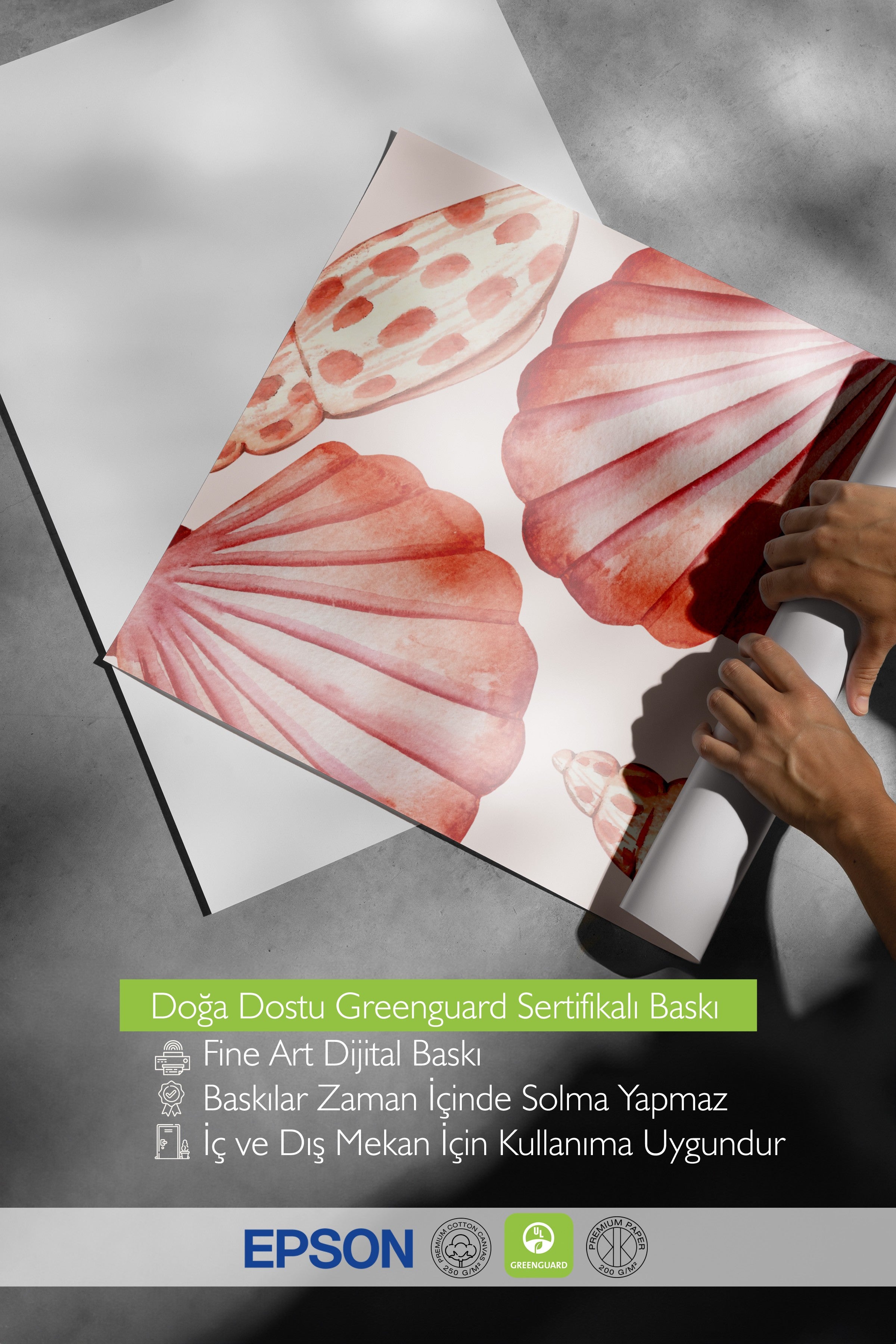 Çerçevesiz Duvar Posteri, Deniz kabuğu, Deniz yıldızı, sulu boya, Kırmızı Renk Poster, 2025 Yaz Seçkisi, NO:109859