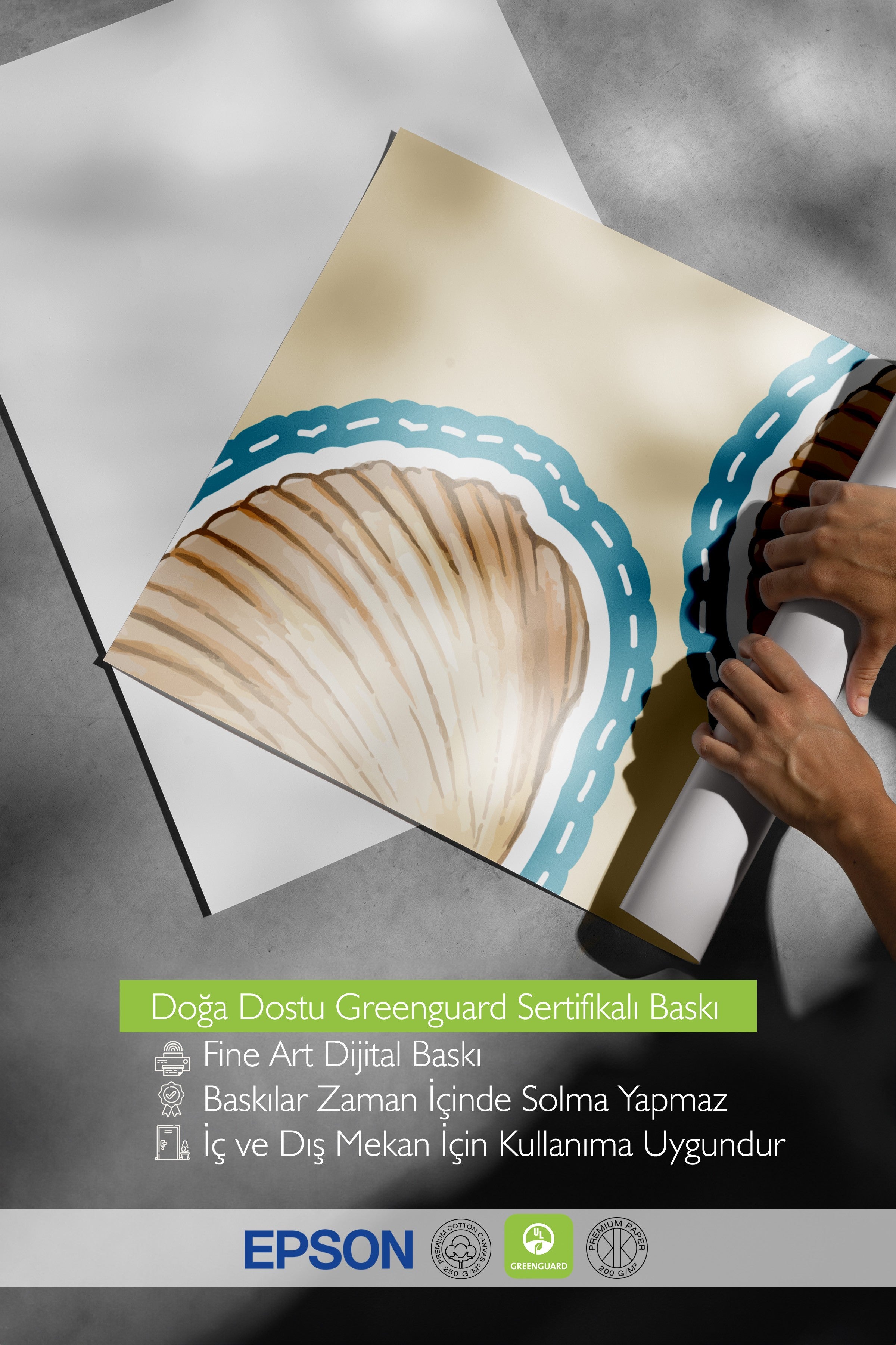 Çerçevesiz Duvar Posteri, Deniz kabuğu, İllüstrasyon, Düz İllüstrasyon, Bej, Mavi Renk Poster, 2025 Yaz Seçkisi, NO:109825