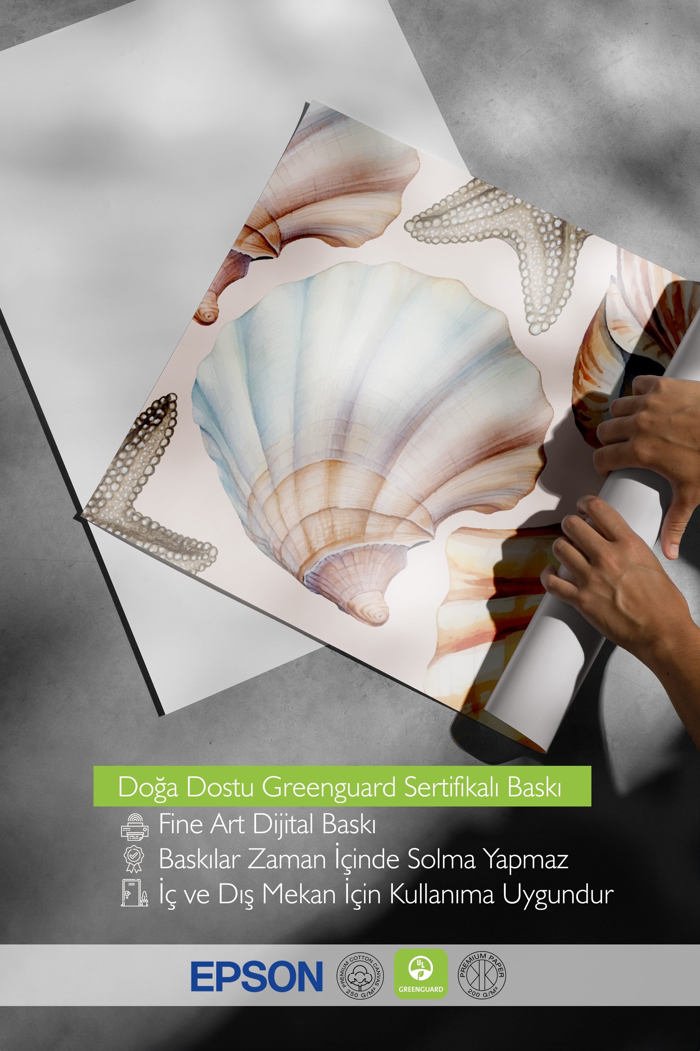Çerçevesiz Duvar Posteri, Deniz kabukları, Deniz yıldızı, sulu boya, Bej, Pastel Tonlar Renk Poster, 2025 Yaz Seçkisi, NO:109858