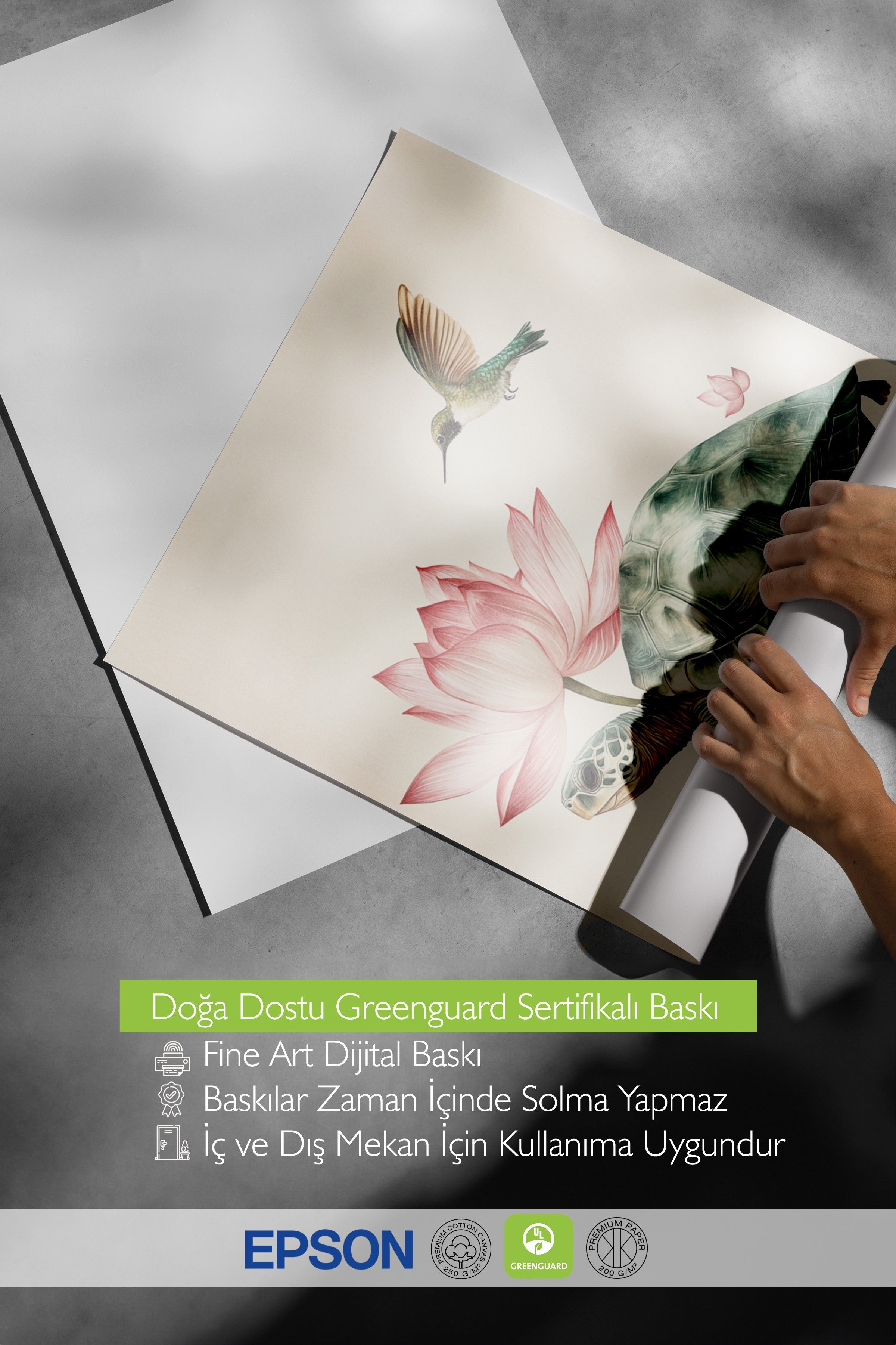 Çerçevesiz Duvar Posteri, Kaplumbağa, Sinek Kuşu, Lotus, İllüstrasyon, Pastel Tonlar Renk Poster, 2025 Yaz Seçkisi, NO:109795