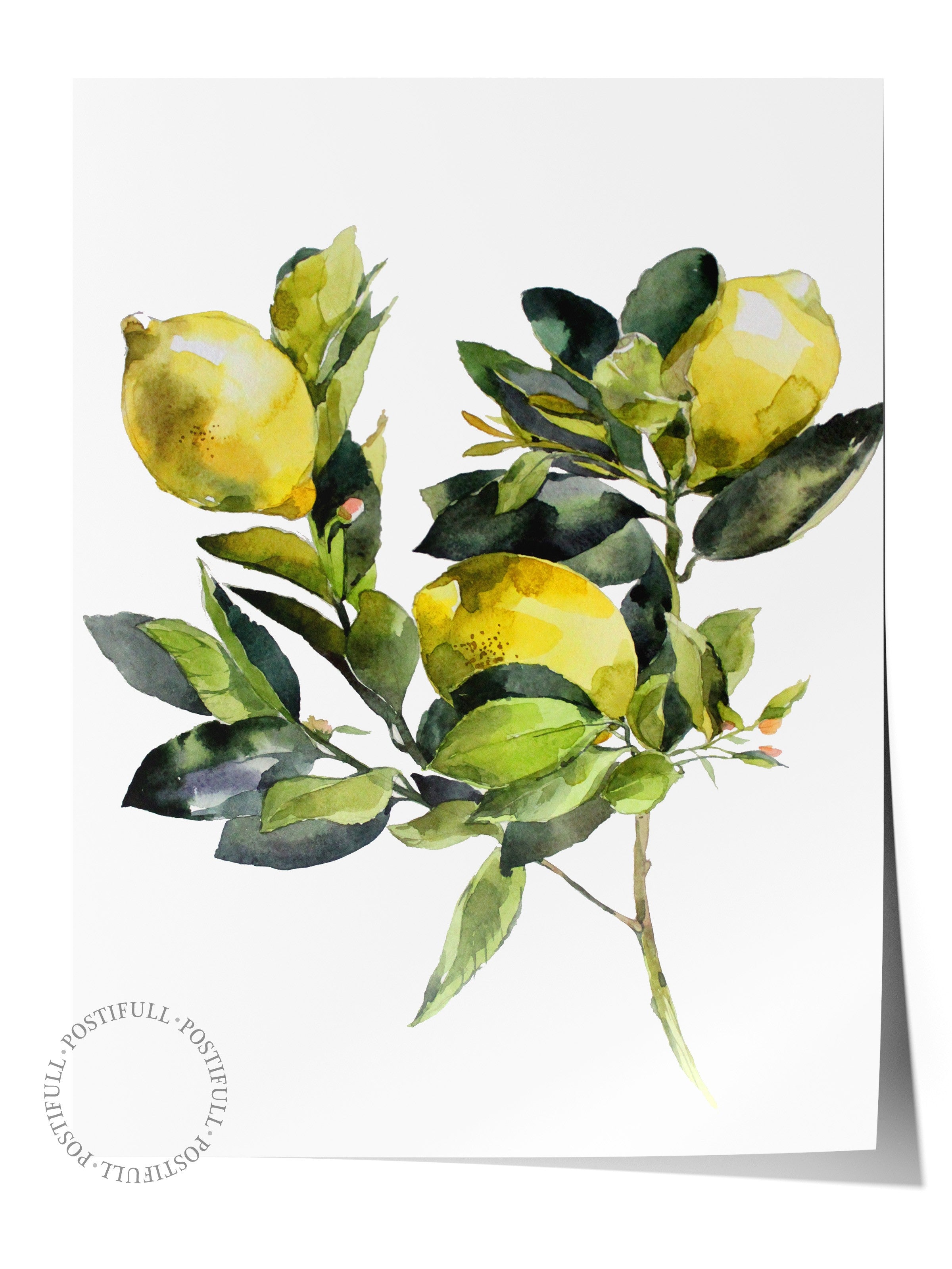 Çerçevesiz Duvar Posteri, Limonlar, Yapraklar, Suluboya, Yeşil, Sarı Renk Poster, 2025 Yaz Seçkisi, NO:109802