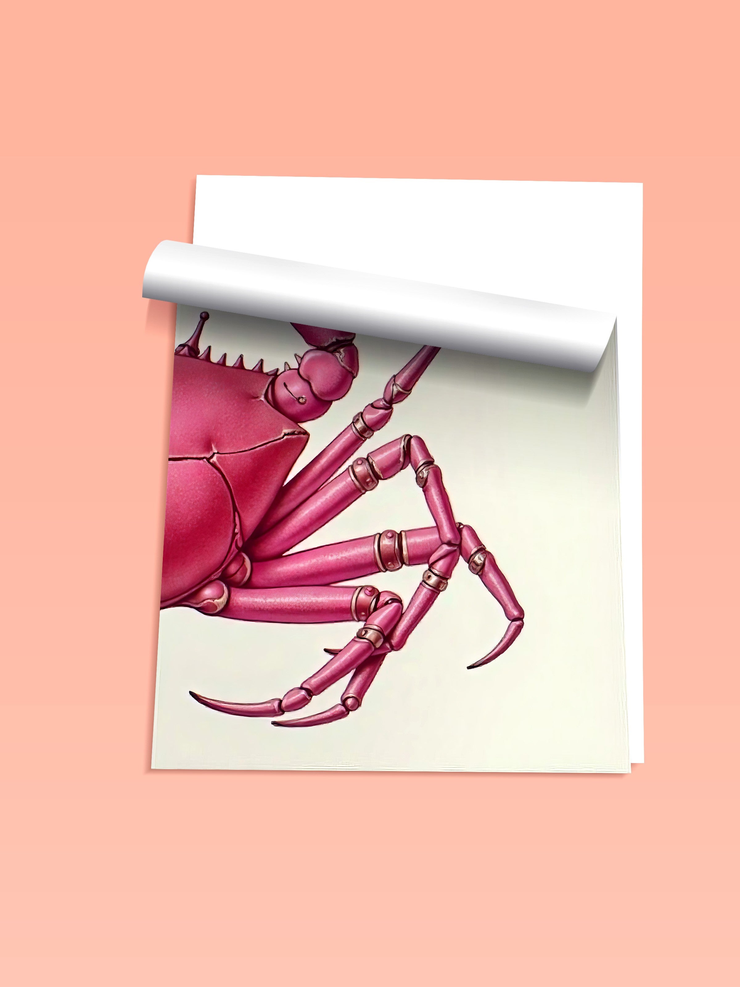 Çerçevesiz Duvar Posteri, Pembe Yengeç, İllüstrasyon, Pembe Renk Poster, 2025 Yaz Seçkisi, NO:109598