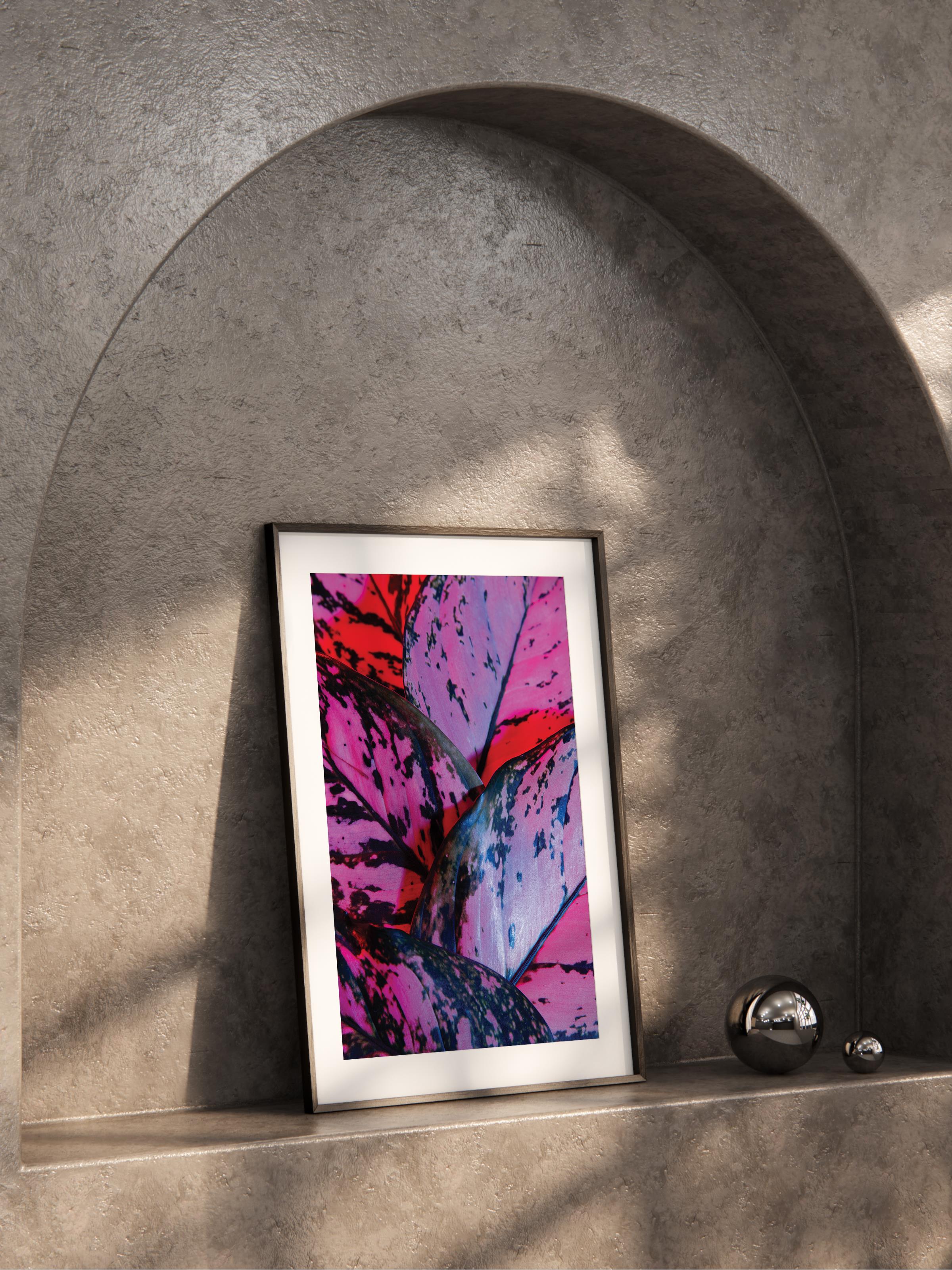 Çerçevesiz Poster, Botanik & Yaprak Tablo No:14, HD Fotoğraf, Salon, Mutfak Duvar Dekoru Poster