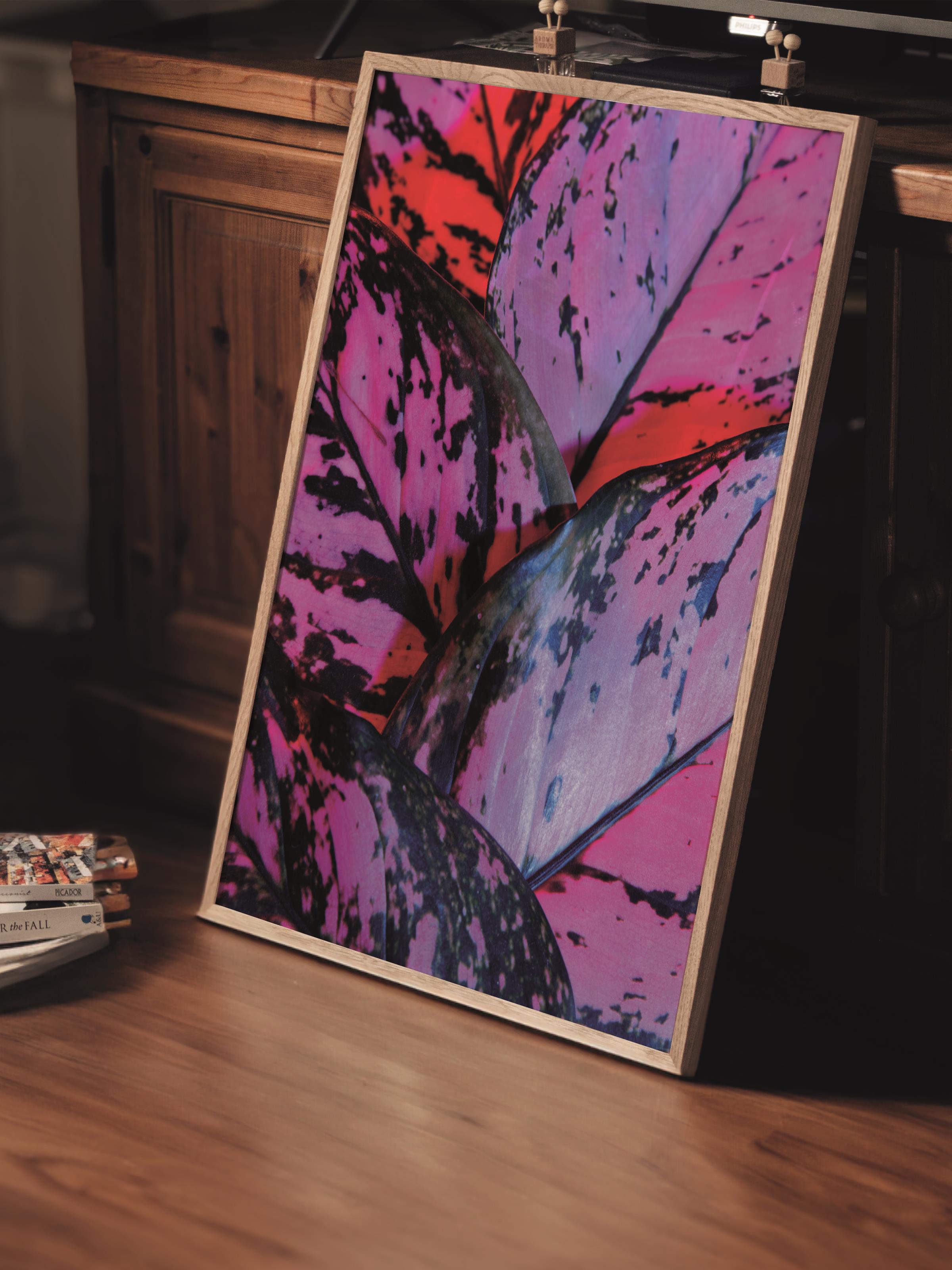 Çerçevesiz Poster, Botanik & Yaprak Tablo No:14, HD Fotoğraf, Salon, Mutfak Duvar Dekoru Poster