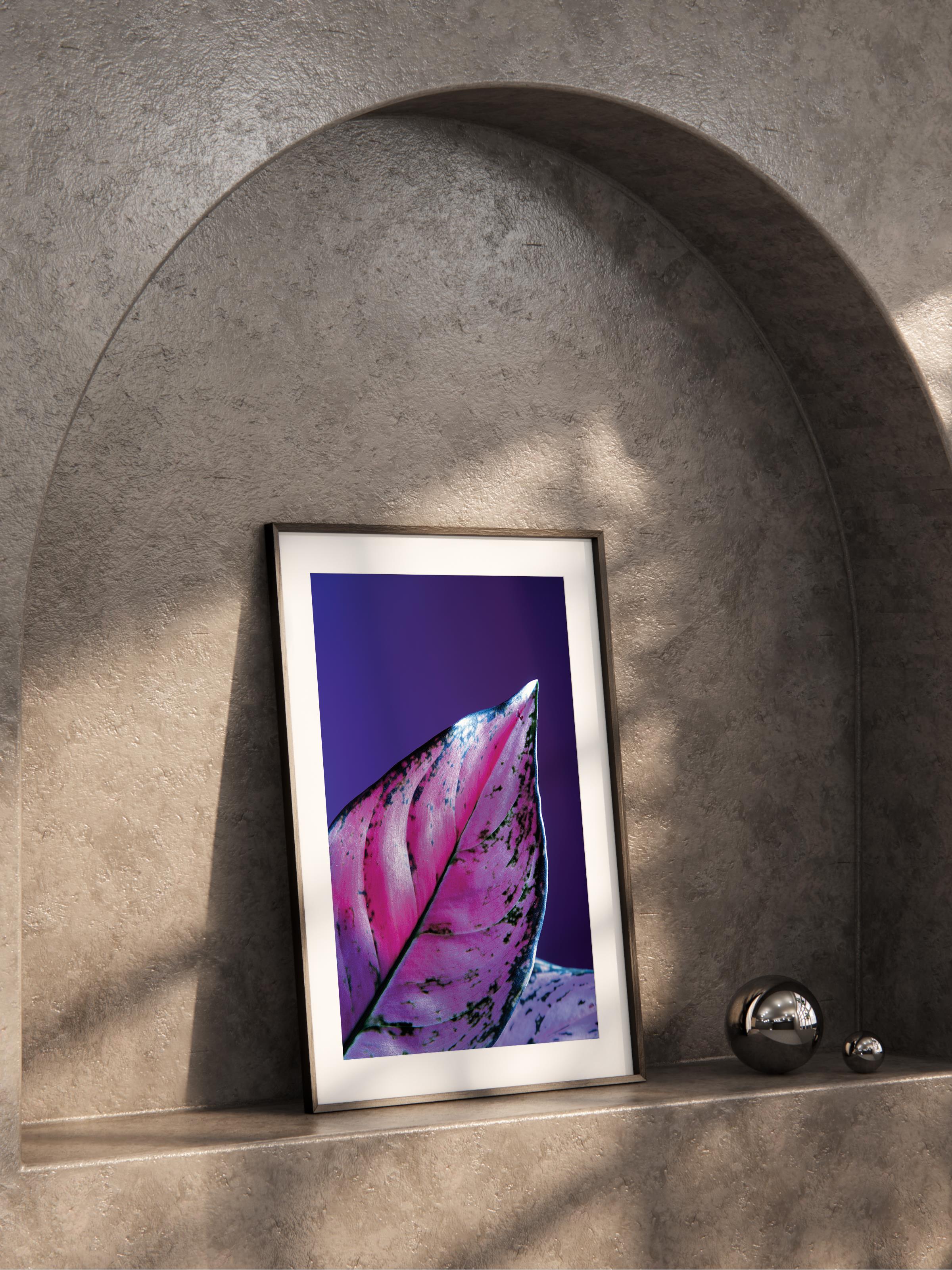 Çerçevesiz Poster, Botanik & Yaprak Tablo No:21, HD Fotoğraf, Salon, Mutfak Duvar Dekoru Poster