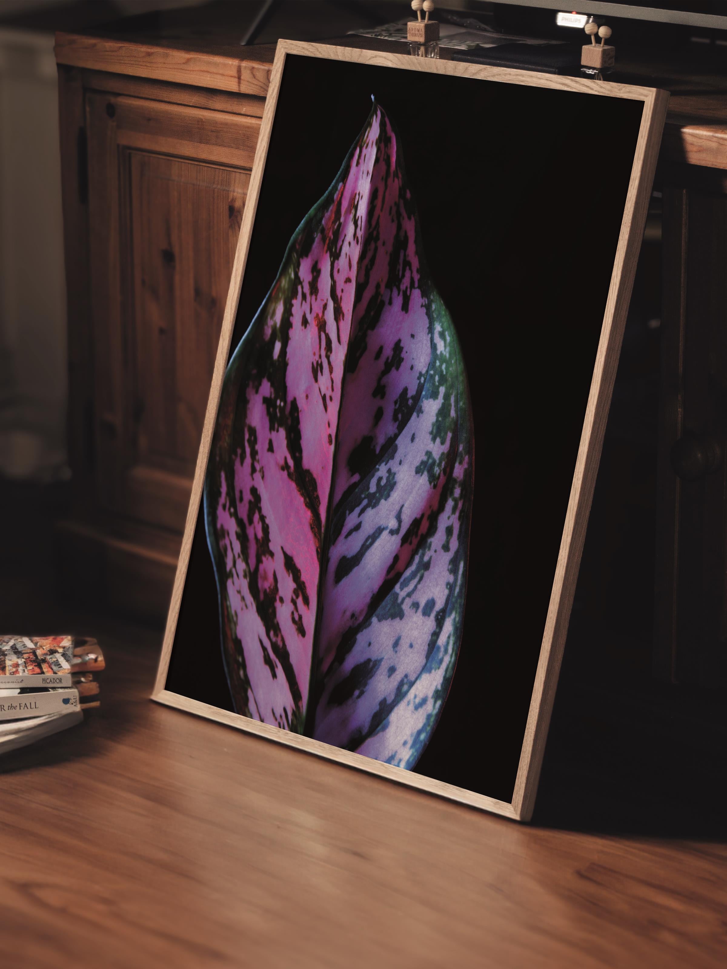 Çerçevesiz Poster, Botanik & Yaprak Tablo No:22, HD Fotoğraf, Salon, Mutfak Duvar Dekoru Poster