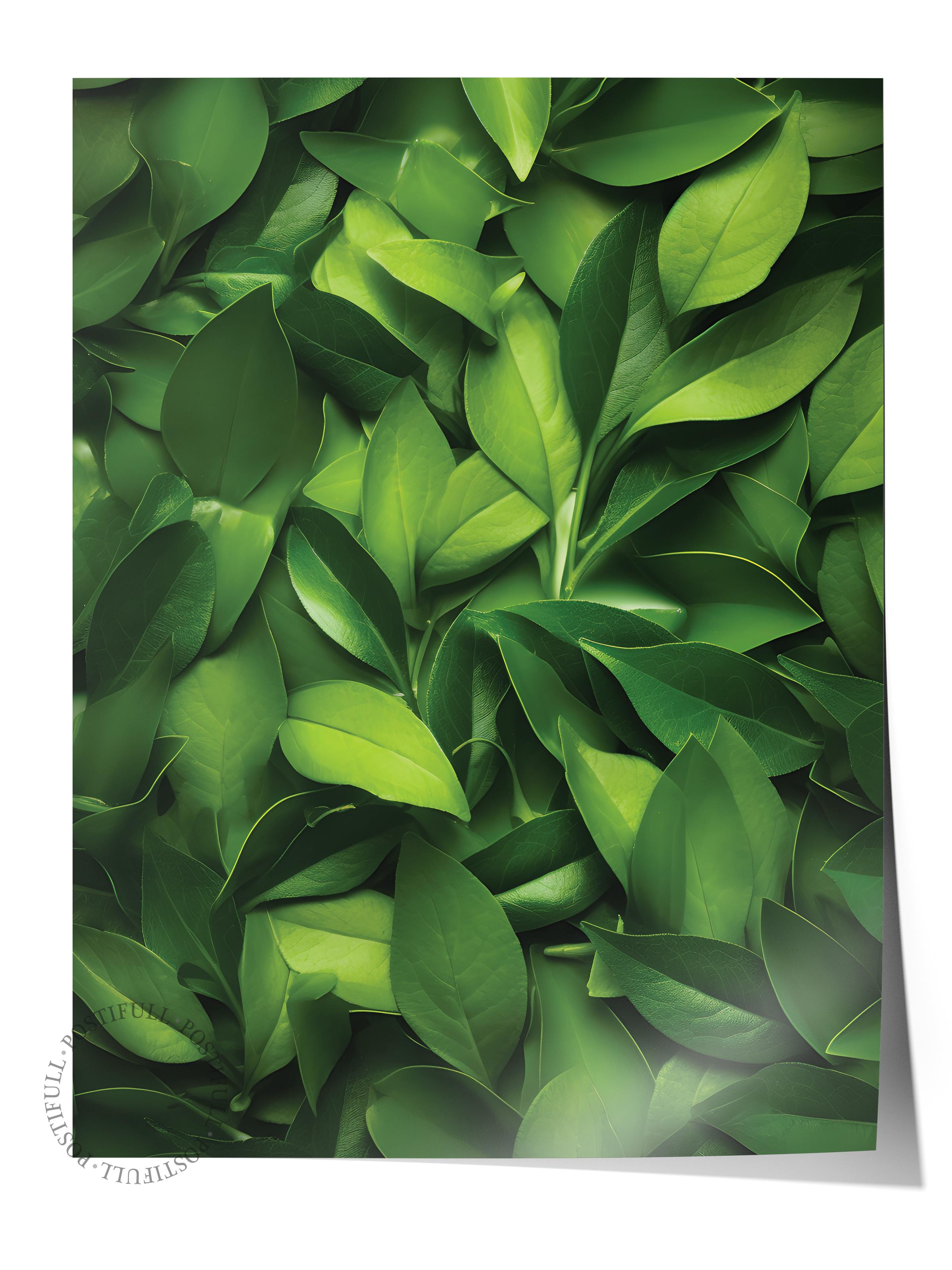 Çerçevesiz Poster, Botanik & Yaprak Tablo No:30, HD Fotoğraf, Salon, Mutfak Duvar Dekoru Poster