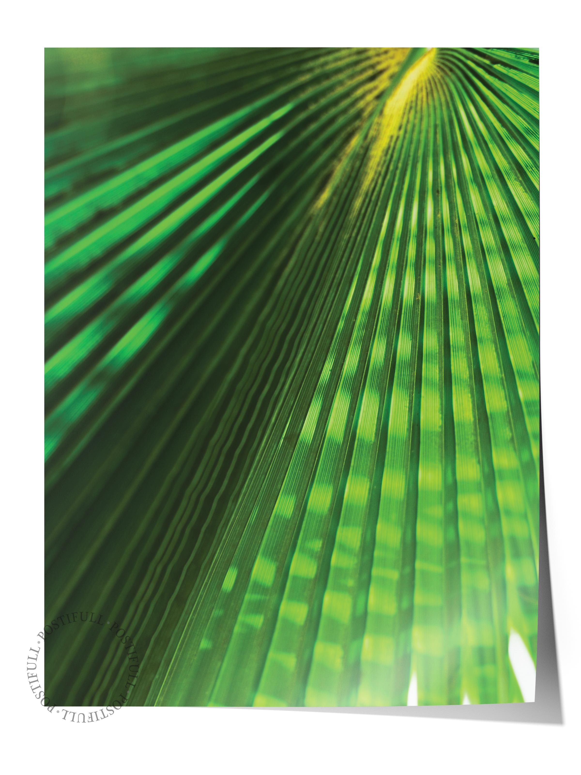 Çerçevesiz Poster, Botanik & Yaprak Tablo No:35, HD Fotoğraf, Salon, Mutfak Duvar Dekoru Poster