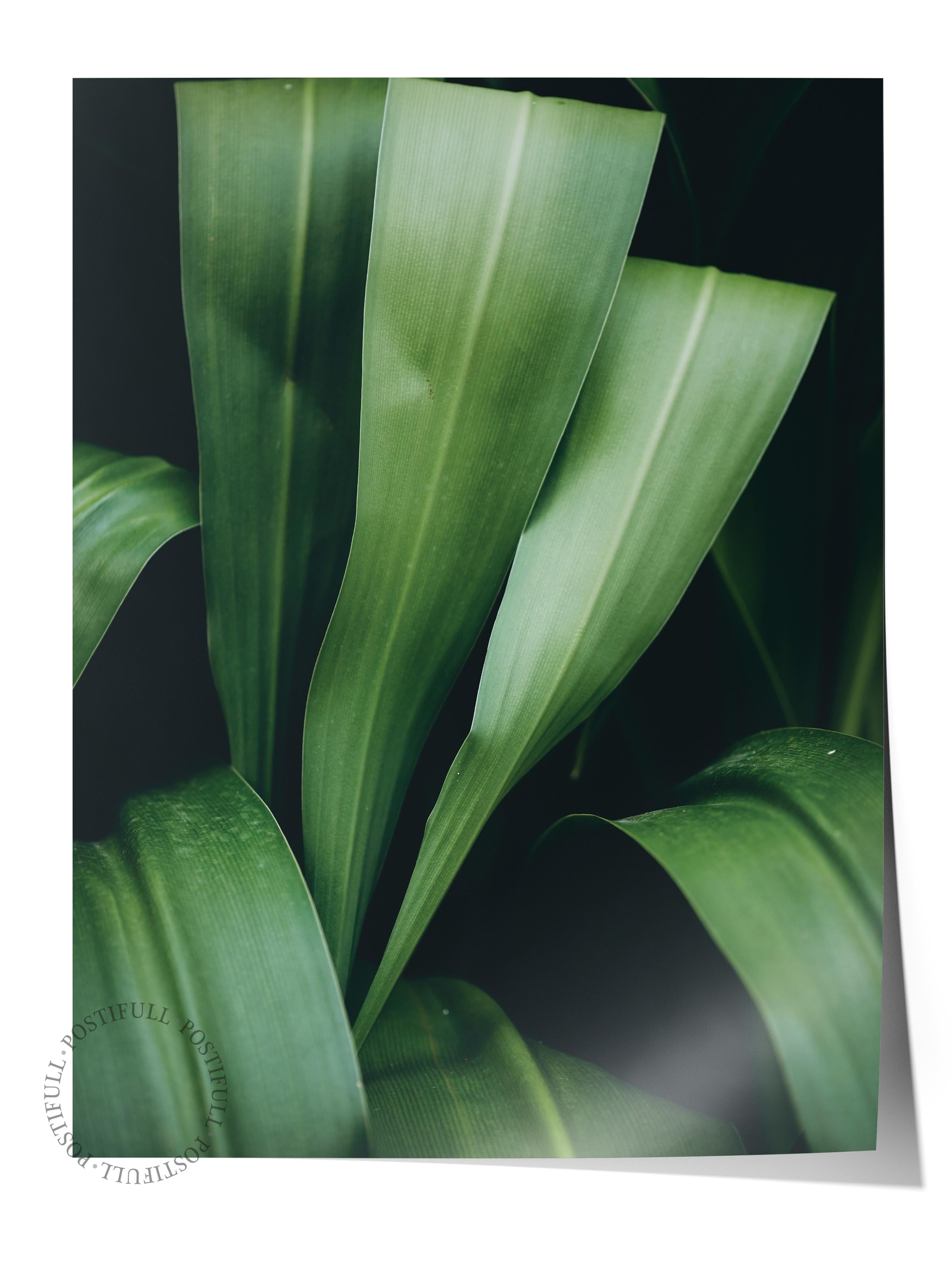 Çerçevesiz Poster, Botanik & Yaprak Tablo No:40, HD Fotoğraf, Salon, Mutfak Duvar Dekoru Poster