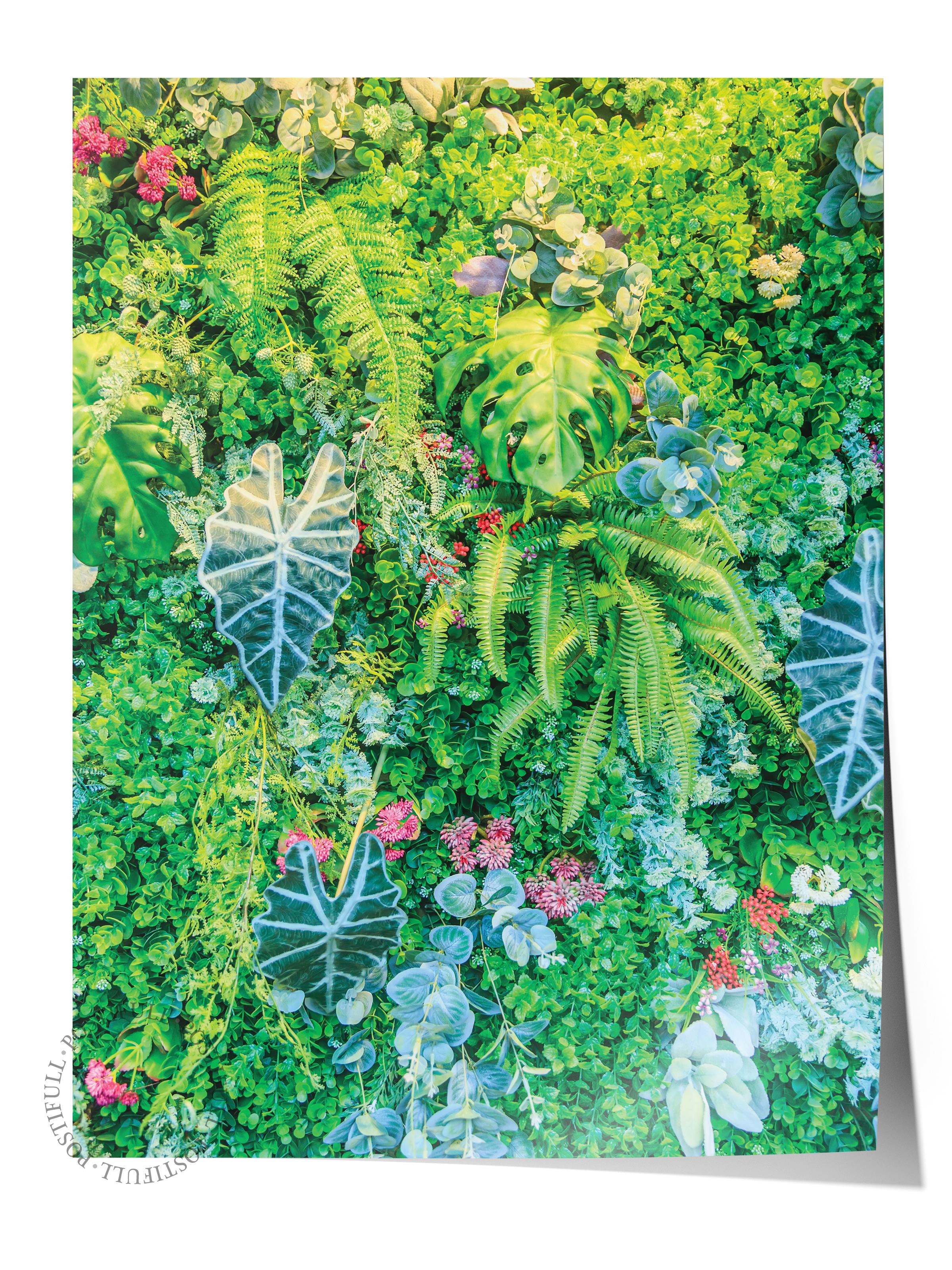 Çerçevesiz Poster, Botanik & Yaprak Tablo No:45, HD Fotoğraf, Salon, Mutfak Duvar Dekoru Poster