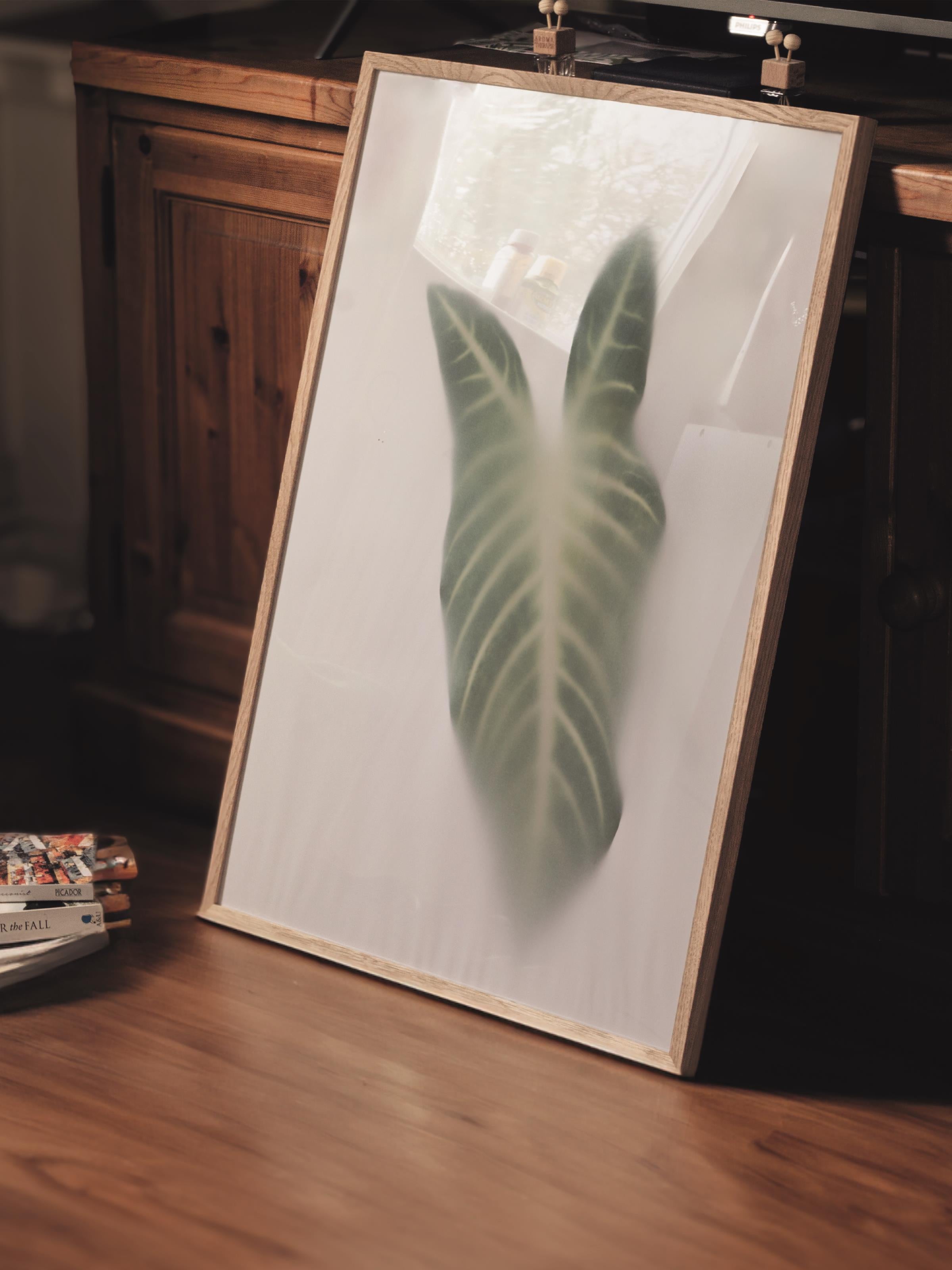 Çerçevesiz Poster, Botanik & Yaprak Tablo No:7, HD Fotoğraf, Salon, Mutfak Duvar Dekoru Poster