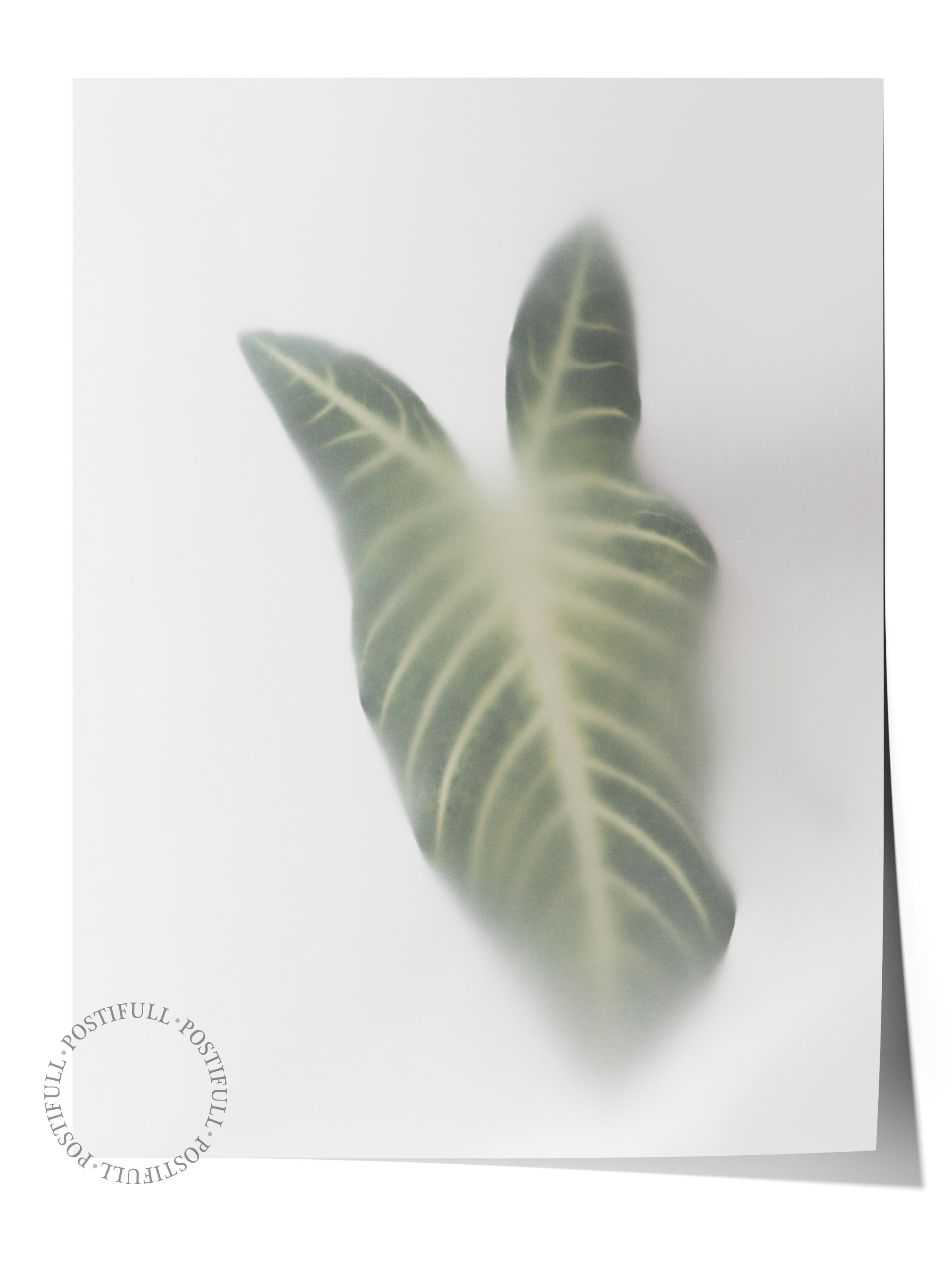 Çerçevesiz Poster, Botanik & Yaprak Tablo No:7, HD Fotoğraf, Salon, Mutfak Duvar Dekoru Poster