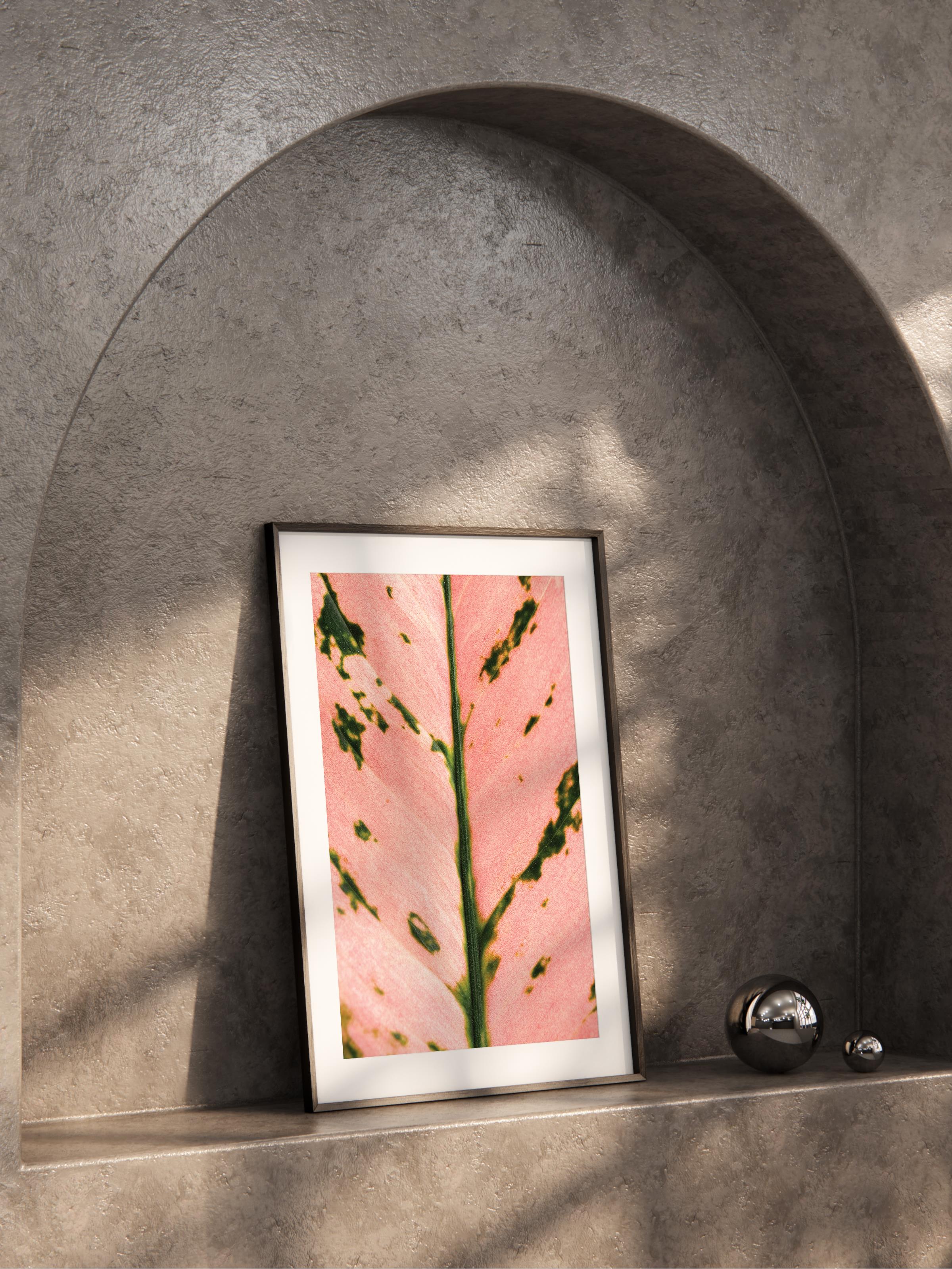 Çerçevesiz Poster, Botanik & Yaprak Tablo No:9, HD Fotoğraf, Salon, Mutfak Duvar Dekoru Poster