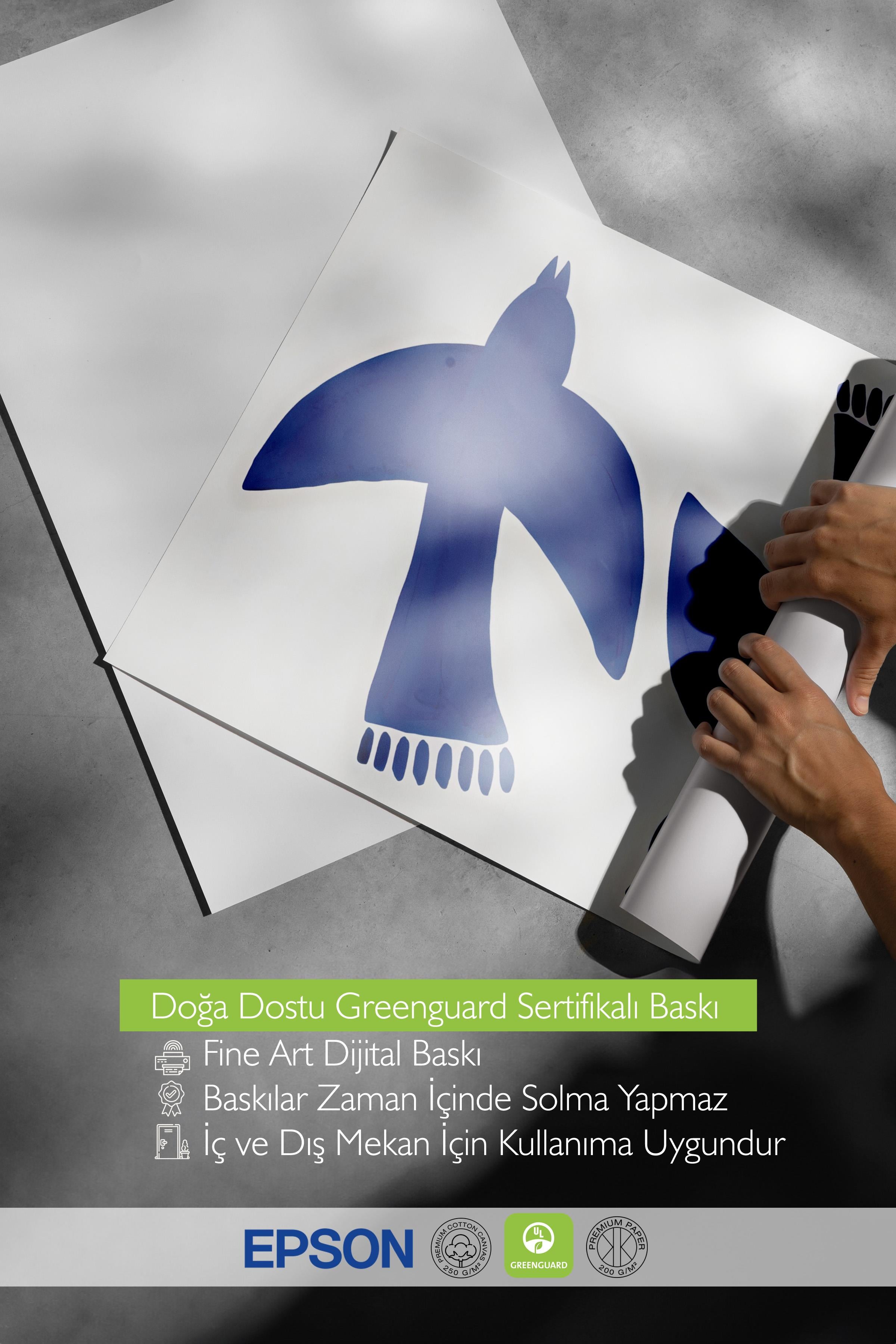 Çerçevesiz Poster, HD Kalite Duvar Posteri,Comfort Serisi, Bluebirds Fly Poster, NO:108602