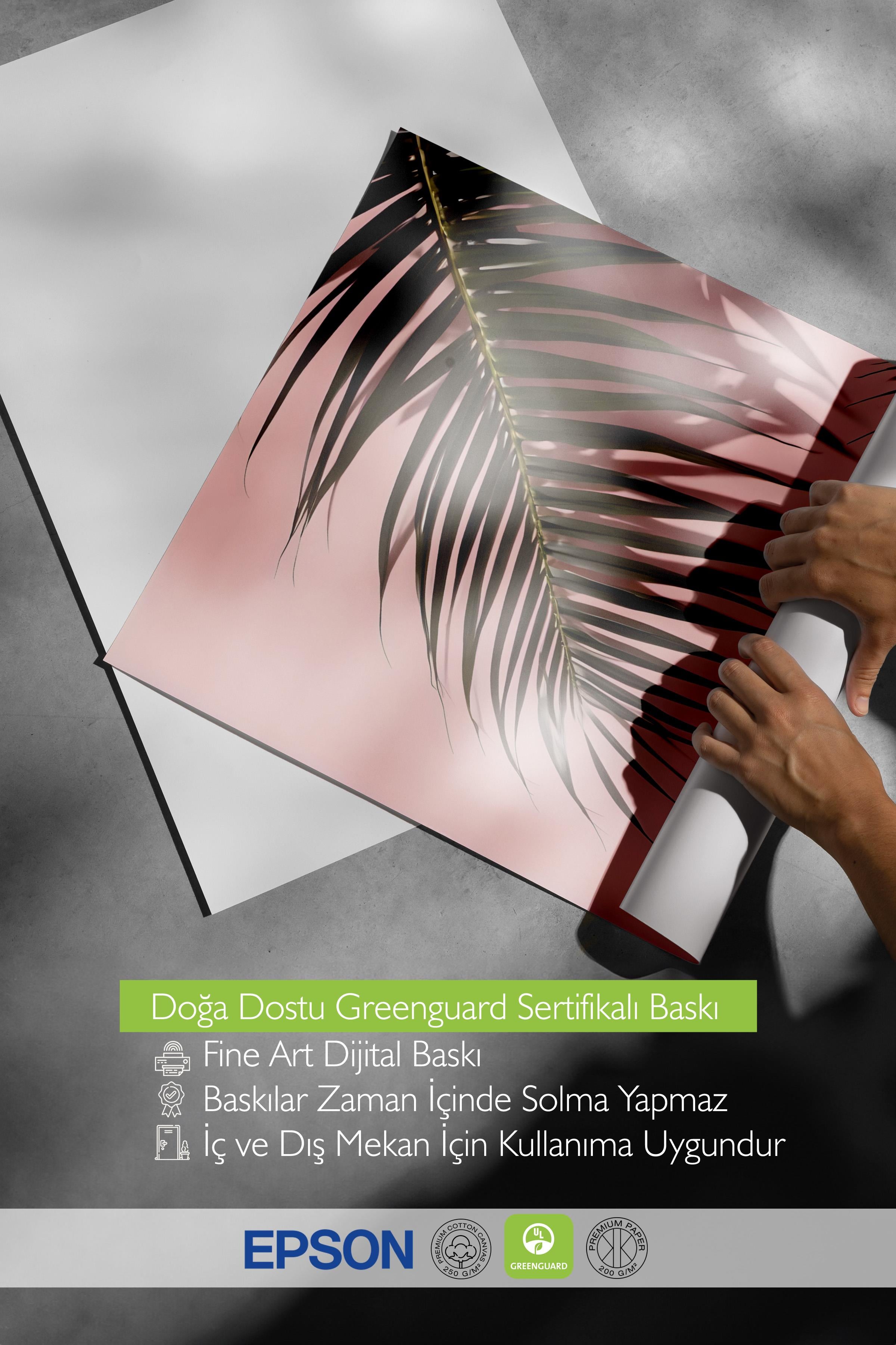 Çerçevesiz Poster, HD Kalite Duvar Posteri,Comfort Serisi, Pink Wall Palms Poster, NO:108650