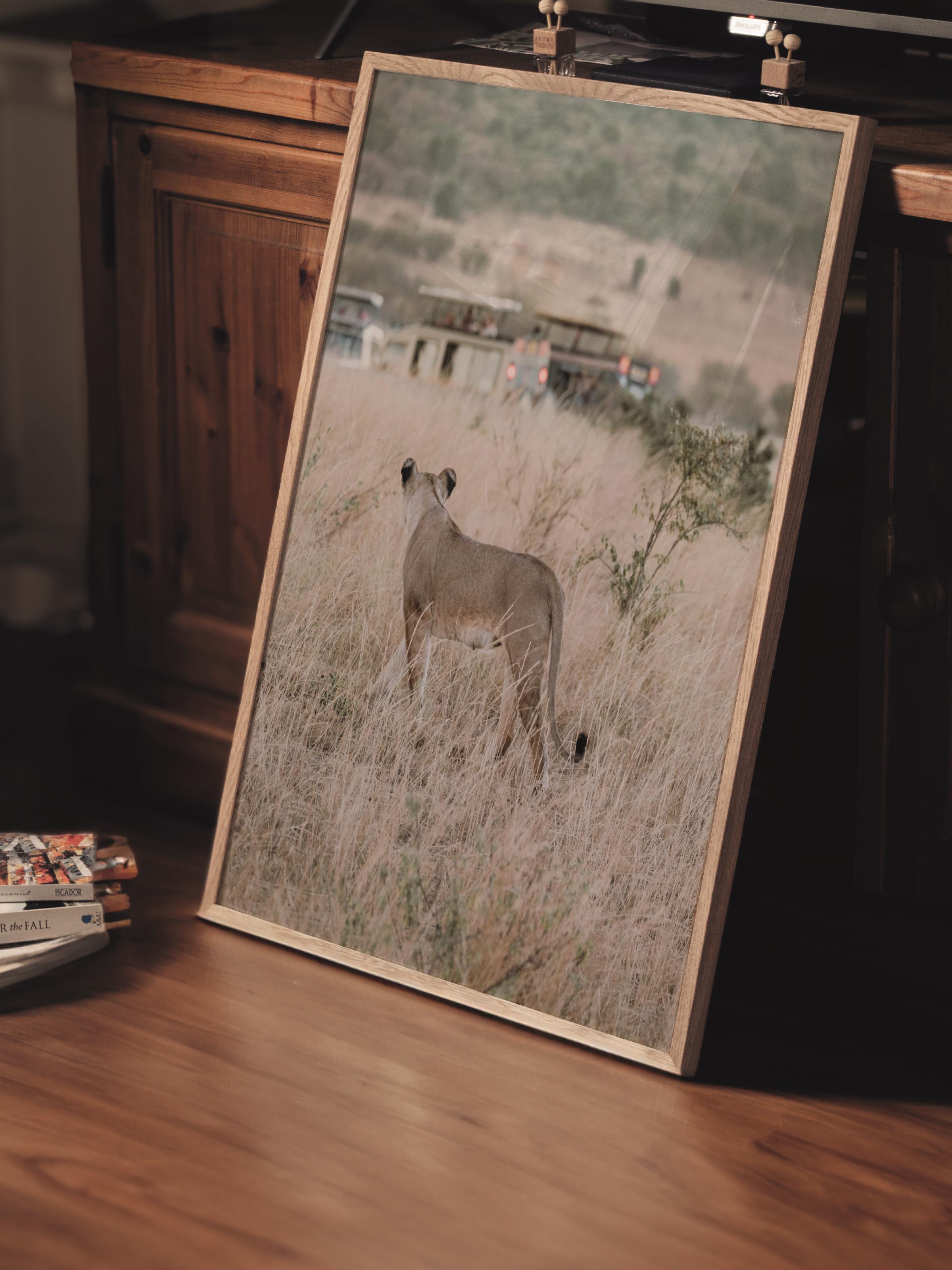 Çerçevesiz Poster, Hayvanlar & Safari Tablo No:14, HD Fotoğraf, Salon, Mutfak Duvar Dekoru Poster