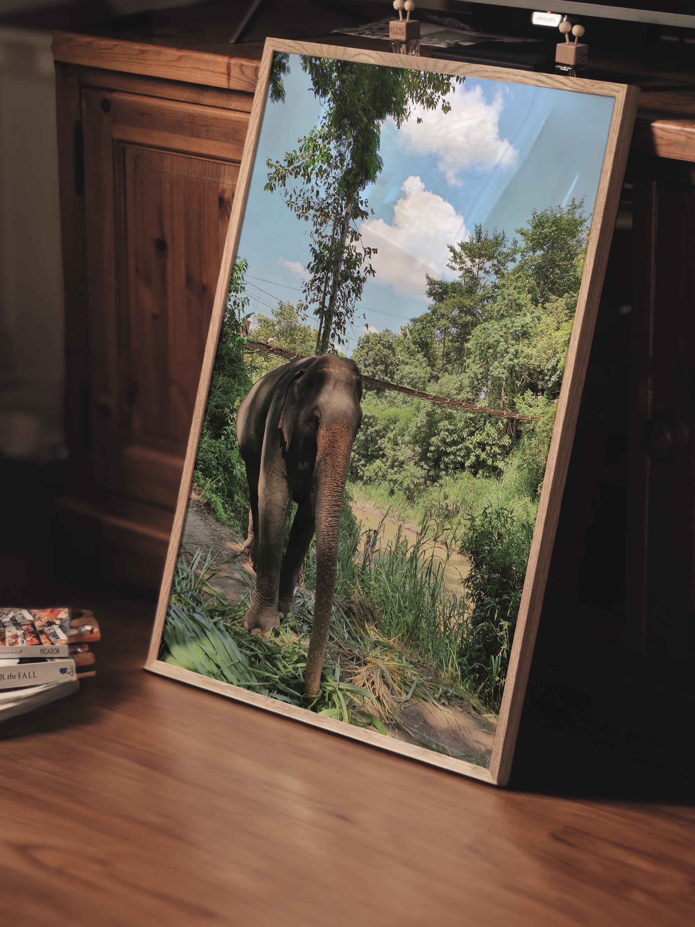 Çerçevesiz Poster, Hayvanlar & Safari Tablo No:15, HD Fotoğraf, Salon, Mutfak Duvar Dekoru Poster