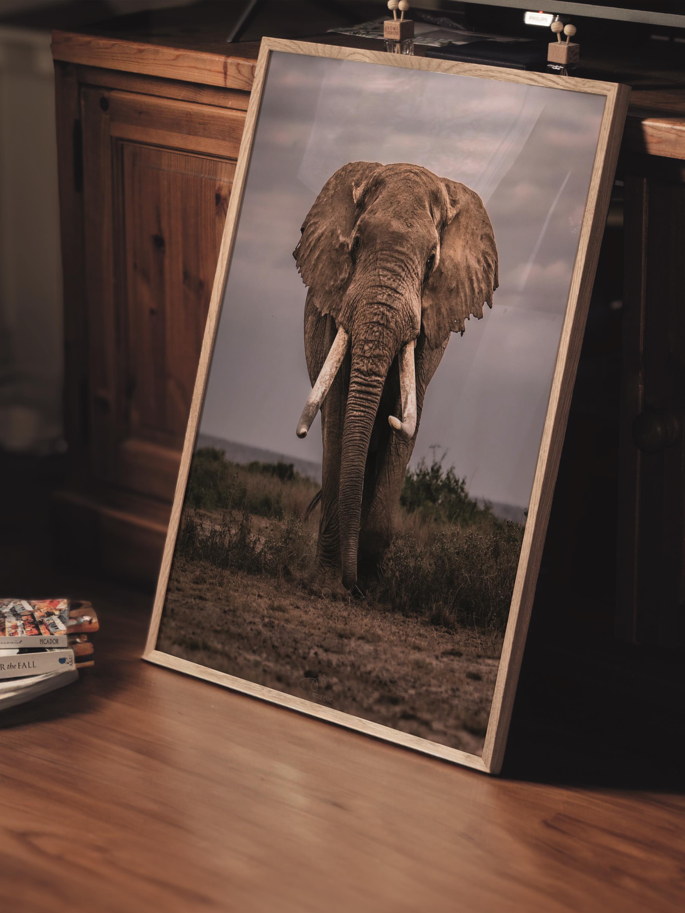 Çerçevesiz Poster, Hayvanlar & Safari Tablo No:16, HD Fotoğraf, Salon, Mutfak Duvar Dekoru Poster