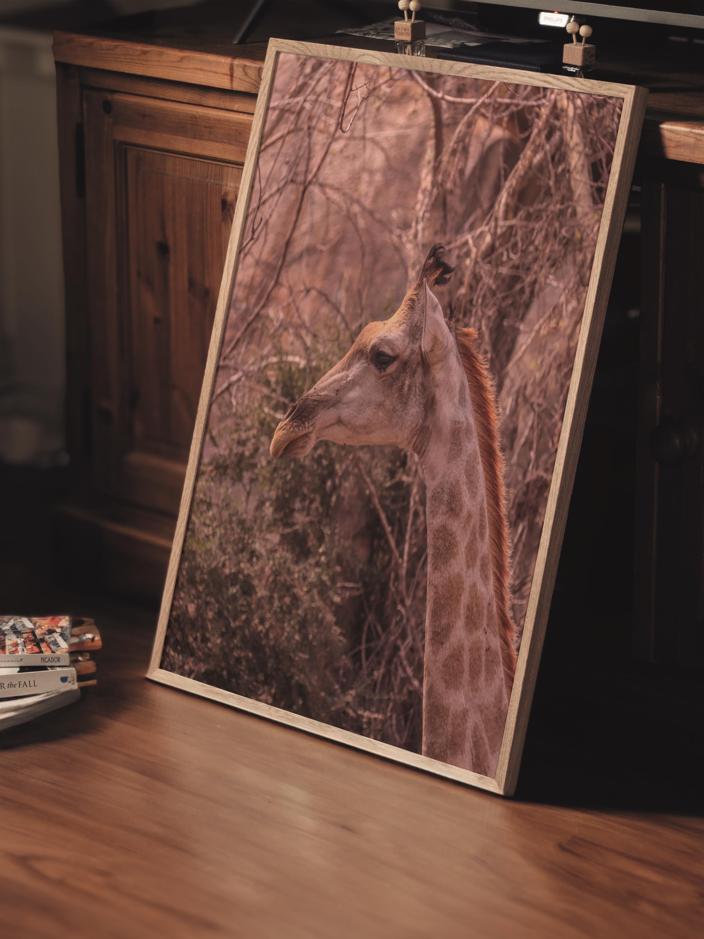 Çerçevesiz Poster, Hayvanlar & Safari Tablo No:19, HD Fotoğraf, Salon, Mutfak Duvar Dekoru Poster