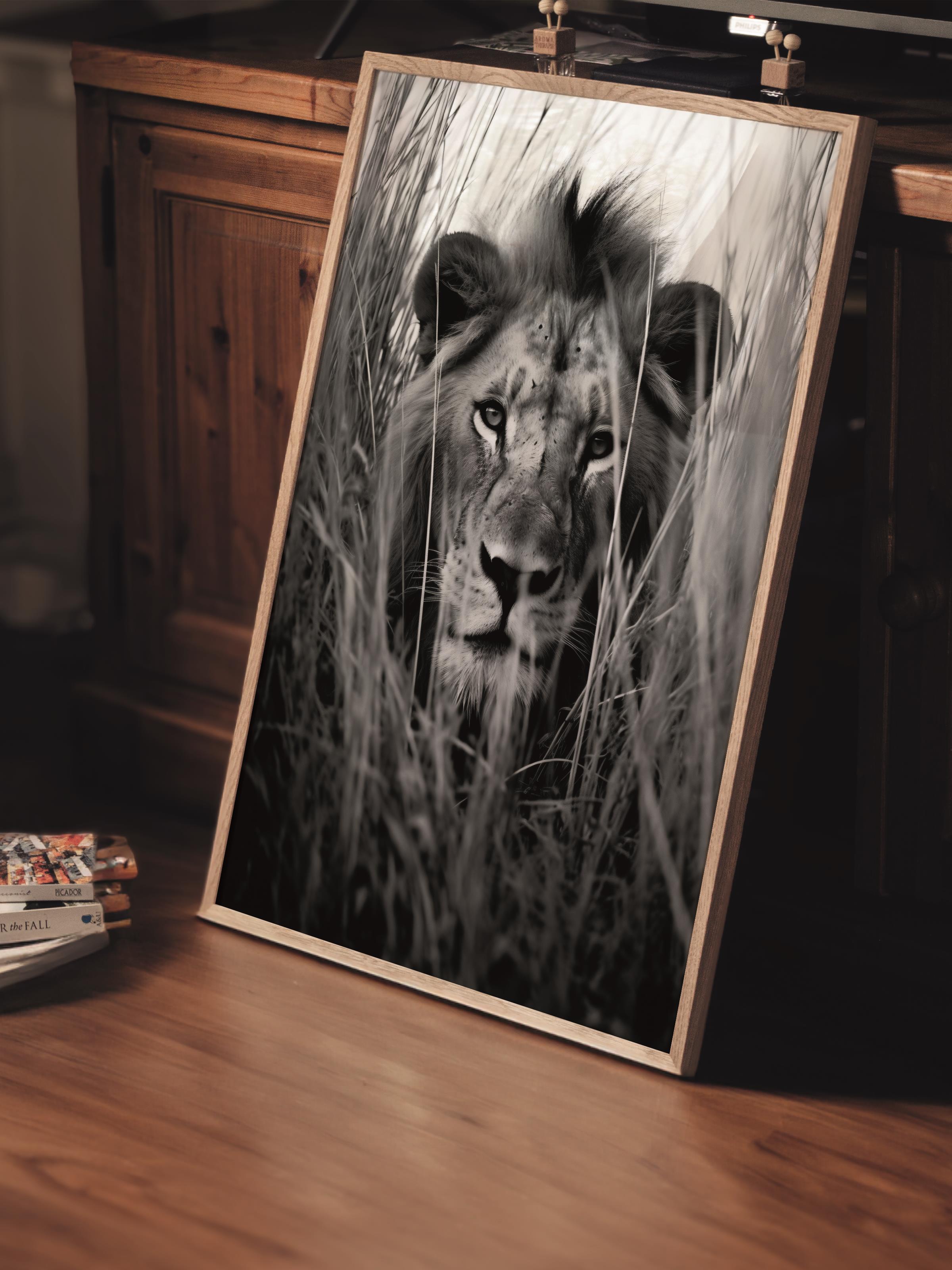 Çerçevesiz Poster, Hayvanlar & Safari Tablo No:26, HD Fotoğraf, Salon, Mutfak Duvar Dekoru Poster