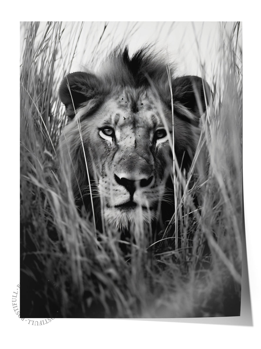 Otların Arasında Aslan Bakışı Hayvanlar & Safari Çerçevesiz Poster