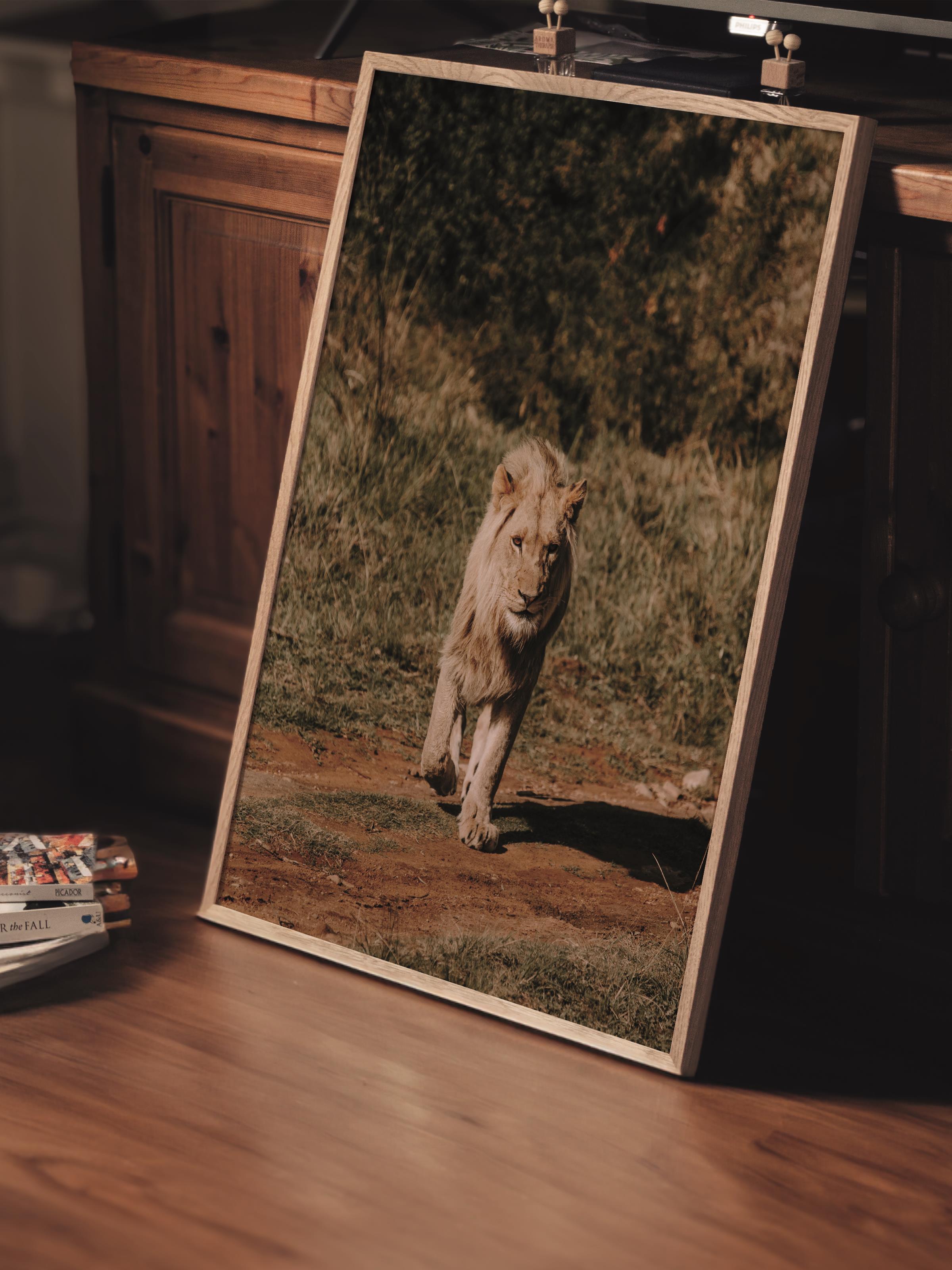Çerçevesiz Poster, Hayvanlar & Safari Tablo No:27, HD Fotoğraf, Salon, Mutfak Duvar Dekoru Poster