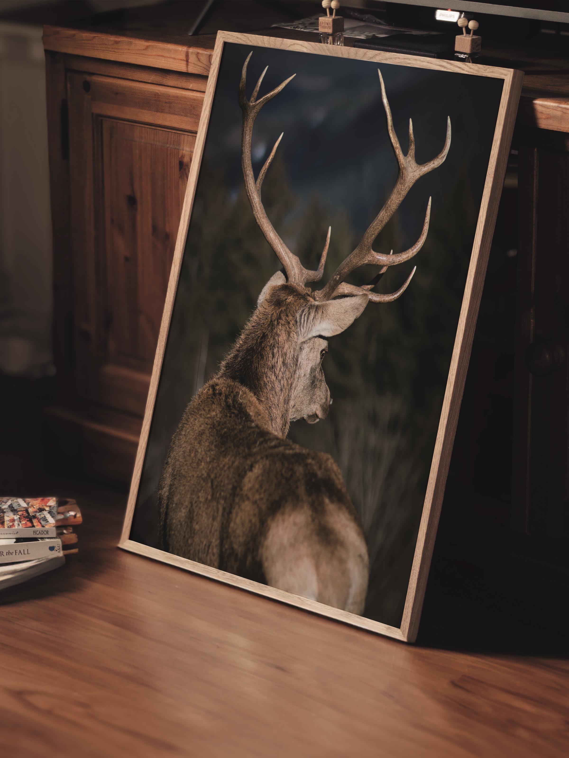 Çerçevesiz Poster, Hayvanlar & Safari Tablo No:3, HD Fotoğraf, Salon, Mutfak Duvar Dekoru Poster