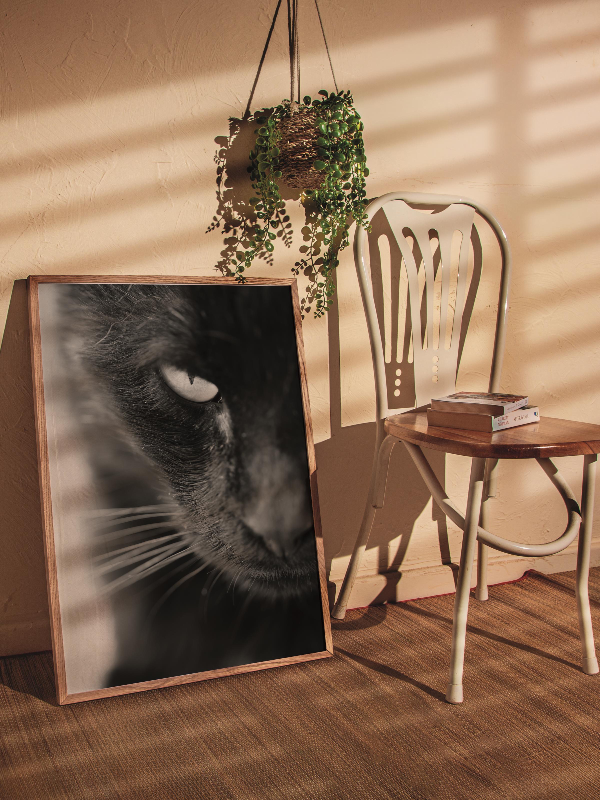 Çerçevesiz Poster, Hayvanlar & Safari Tablo No:30, HD Fotoğraf, Salon, Mutfak Duvar Dekoru Poster