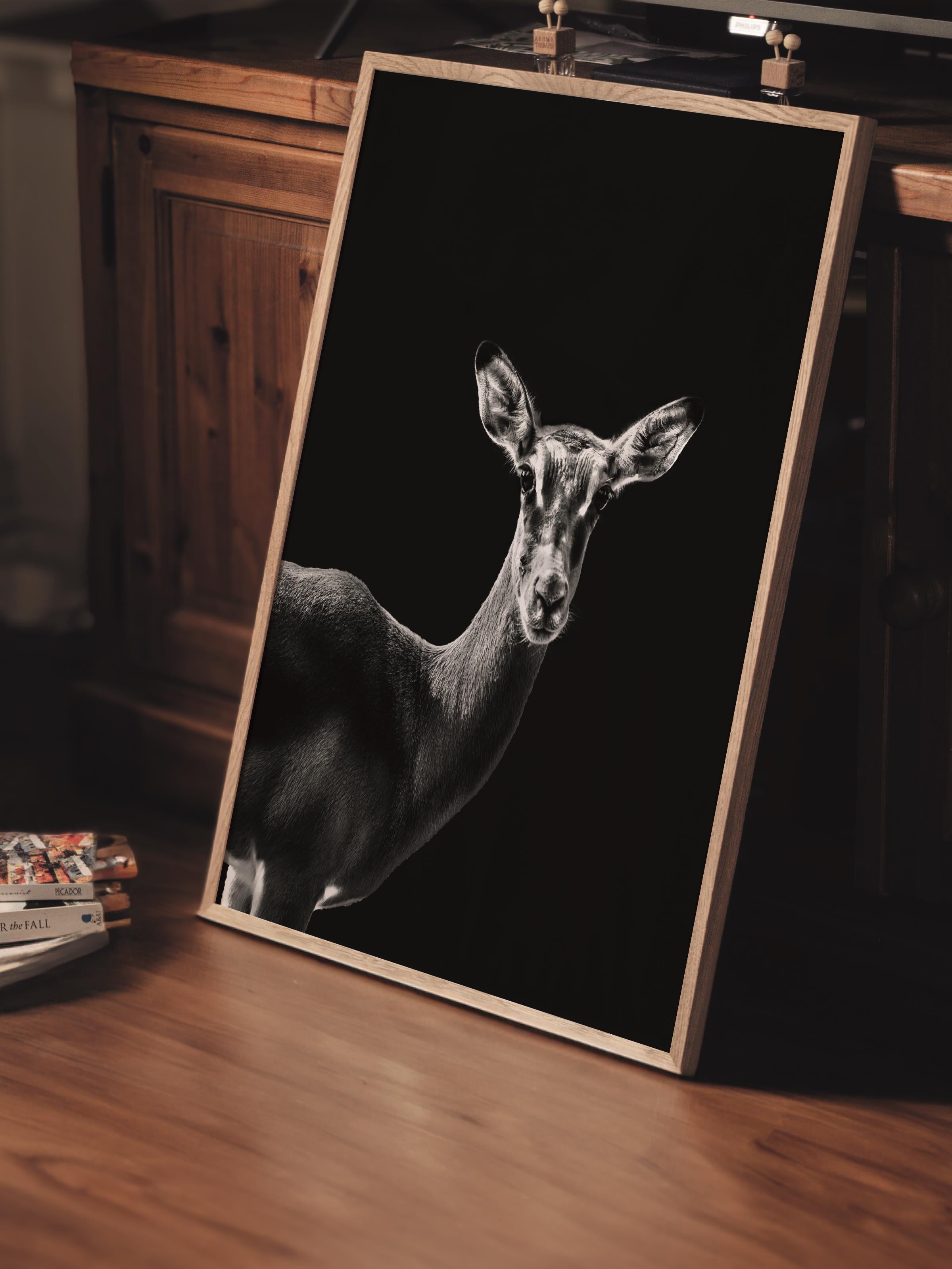 Çerçevesiz Poster, Hayvanlar & Safari Tablo No:32, HD Fotoğraf, Salon, Mutfak Duvar Dekoru Poster