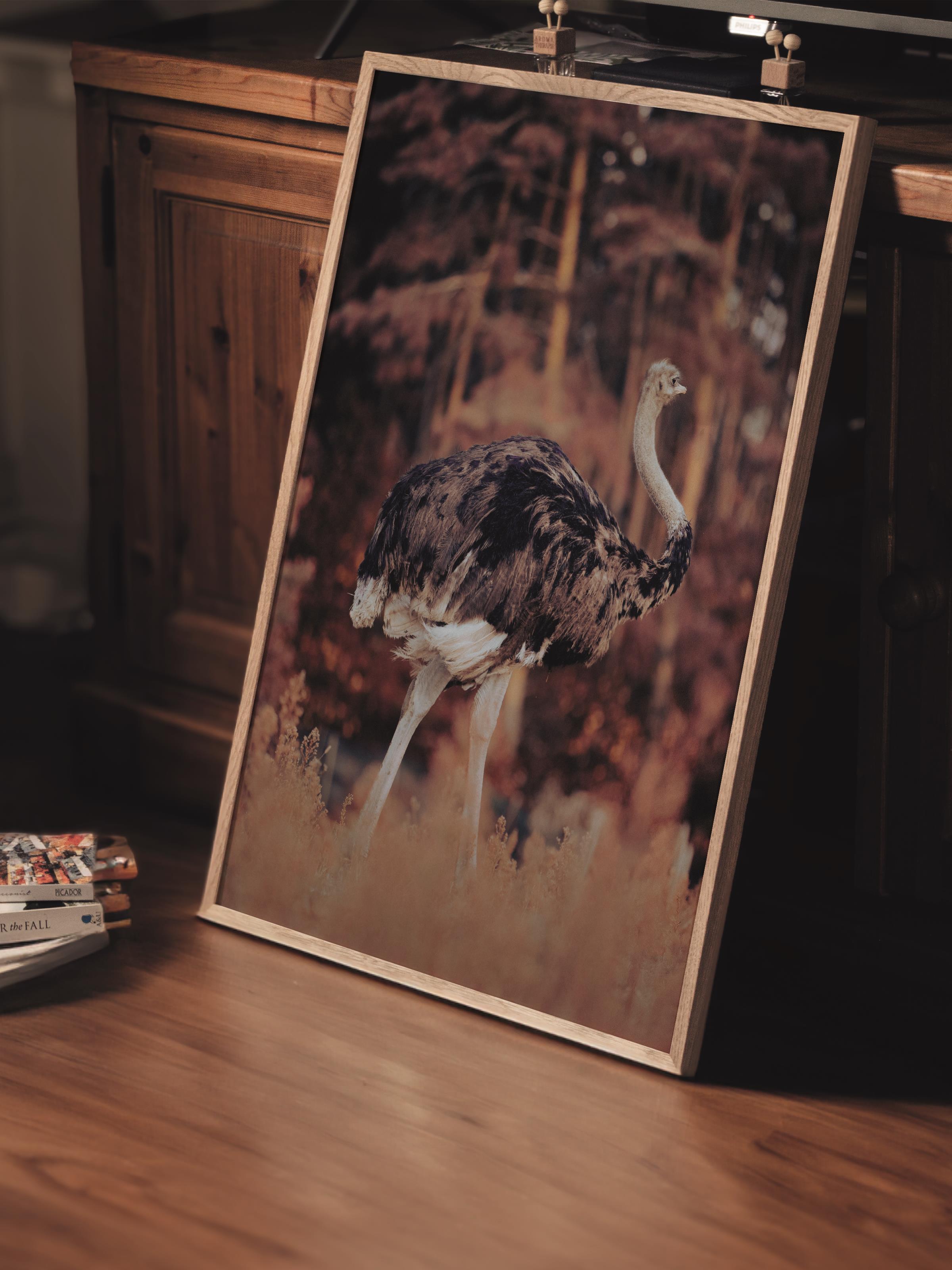Çerçevesiz Poster, Hayvanlar & Safari Tablo No:34, HD Fotoğraf, Salon, Mutfak Duvar Dekoru Poster