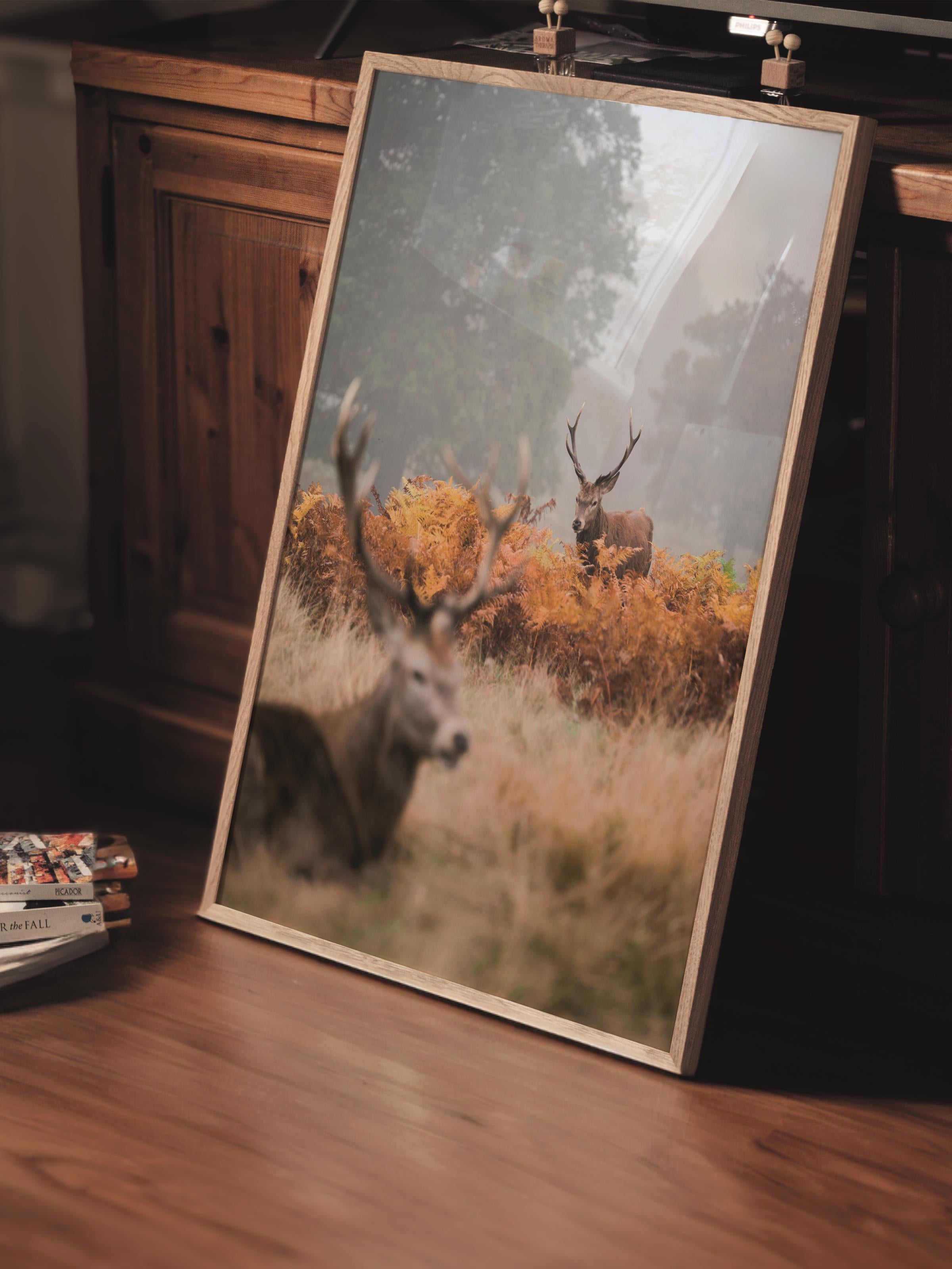 Çerçevesiz Poster, Hayvanlar & Safari Tablo No:35, HD Fotoğraf, Salon, Mutfak Duvar Dekoru Poster