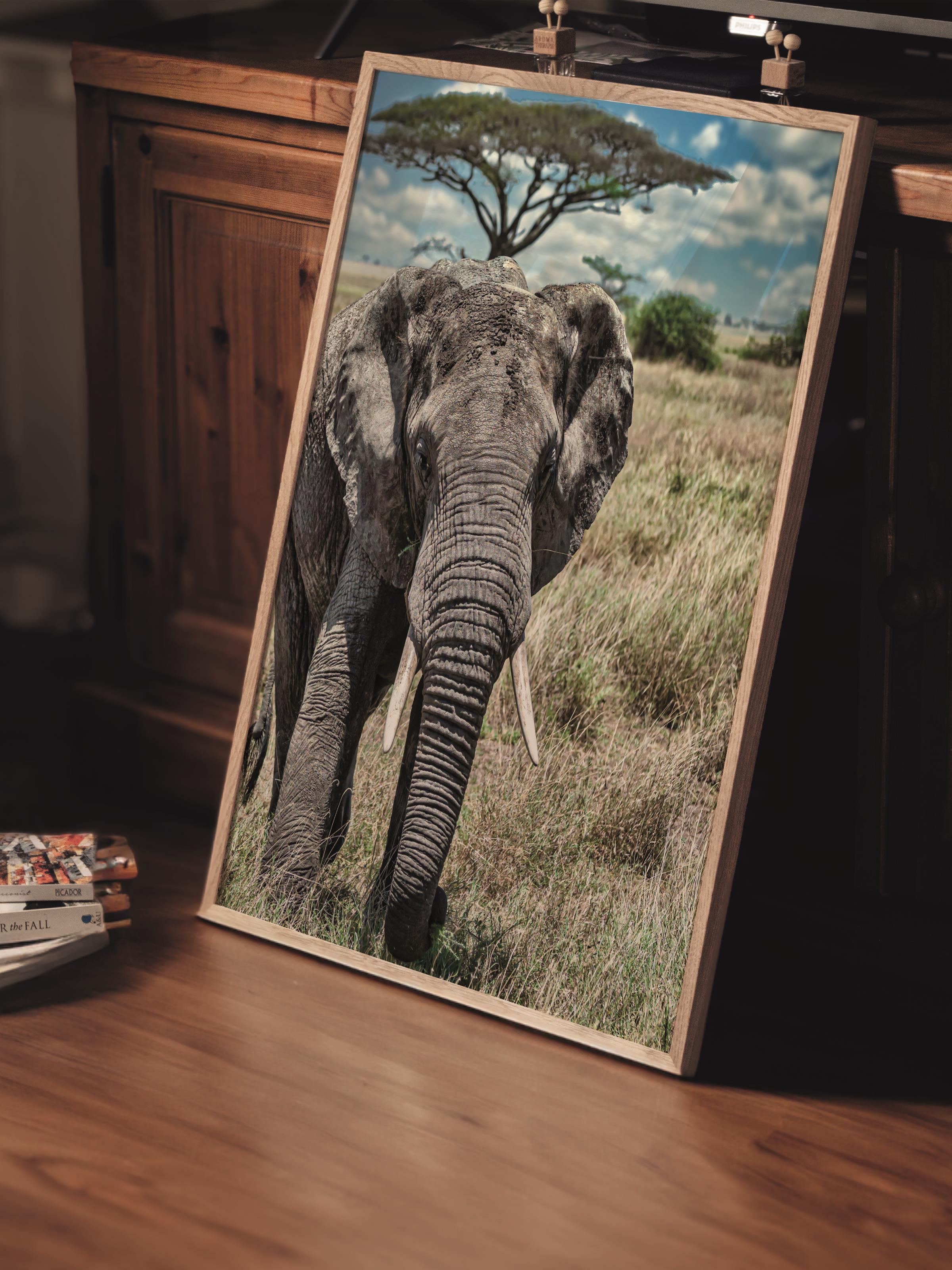 Çerçevesiz Poster, Hayvanlar & Safari Tablo No:36, HD Fotoğraf, Salon, Mutfak Duvar Dekoru Poster
