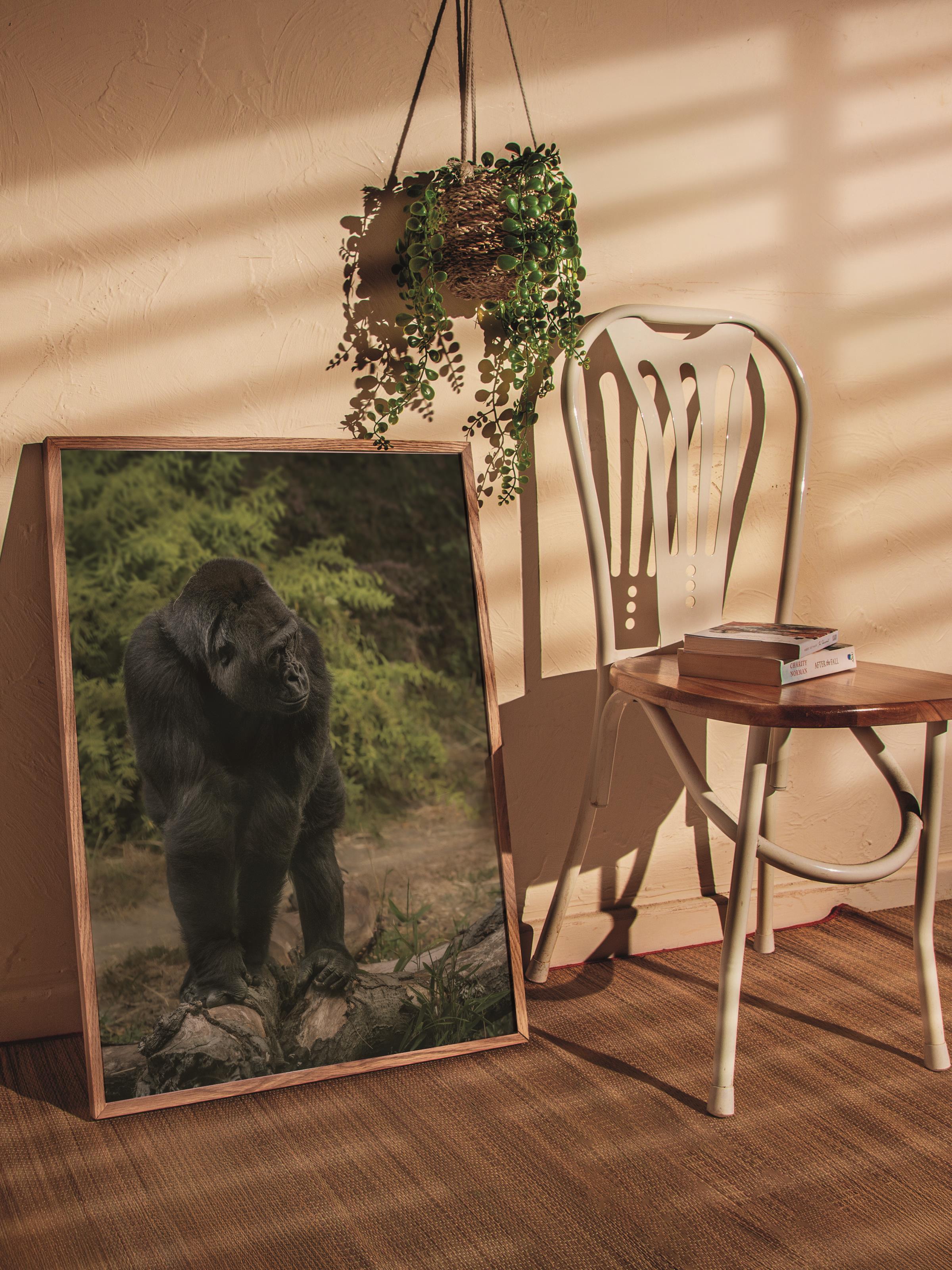 Çerçevesiz Poster, Hayvanlar & Safari Tablo No:39, HD Fotoğraf, Salon, Mutfak Duvar Dekoru Poster