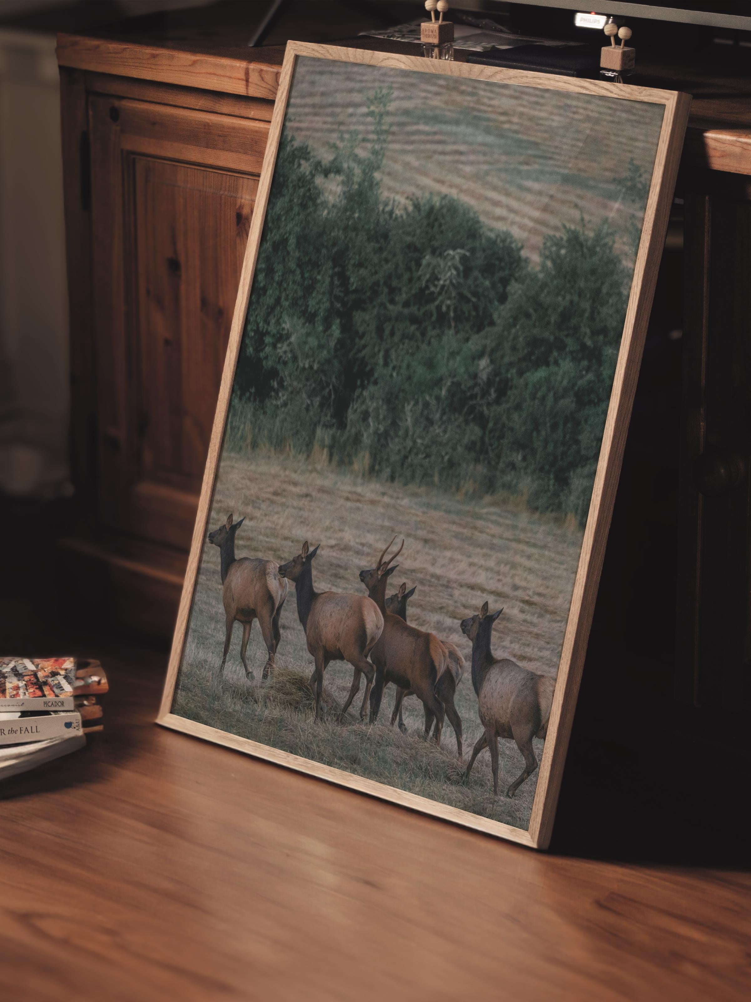 Çerçevesiz Poster, Hayvanlar & Safari Tablo No:4, HD Fotoğraf, Salon, Mutfak Duvar Dekoru Poster