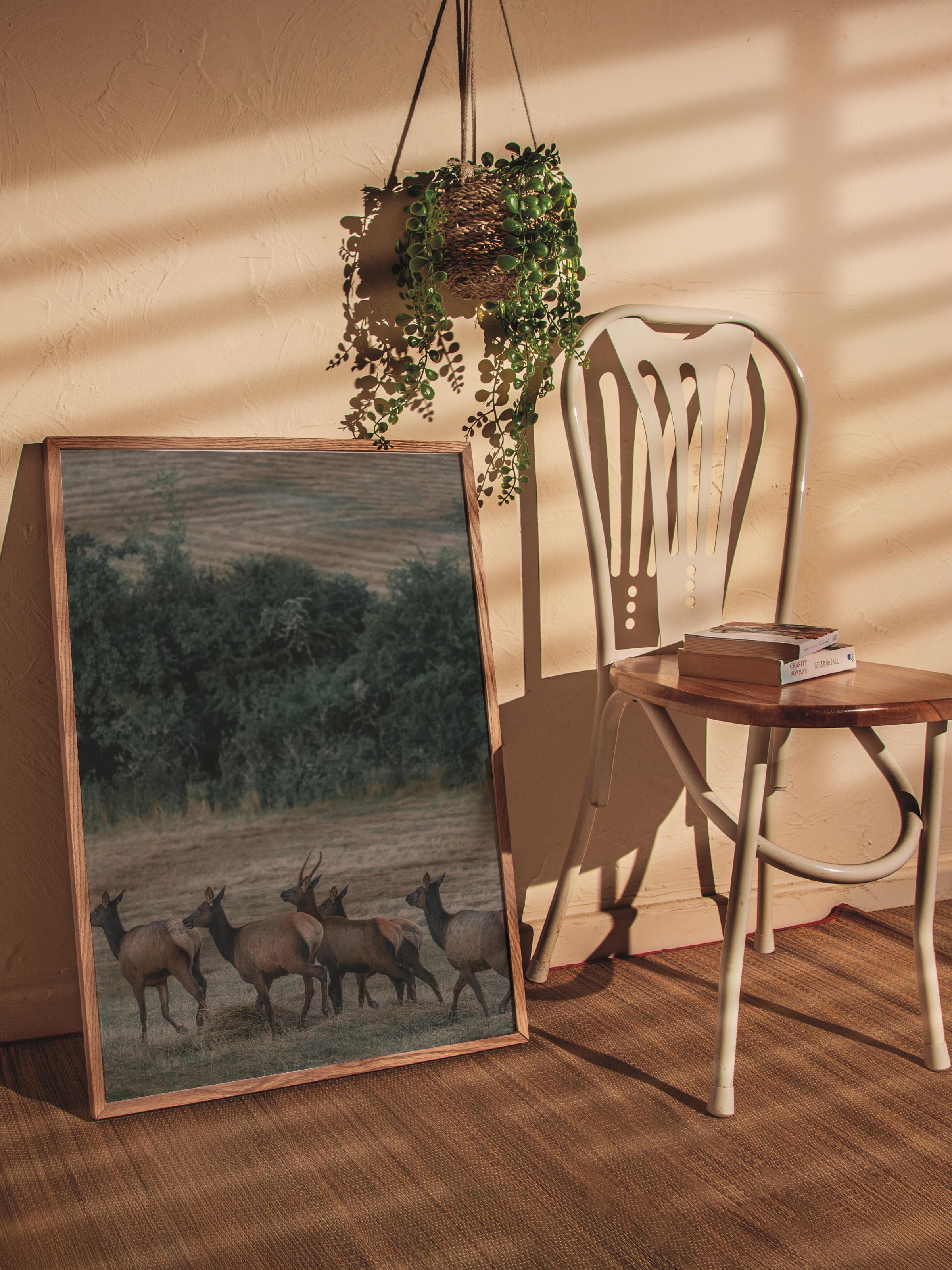 Çerçevesiz Poster, Hayvanlar & Safari Tablo No:4, HD Fotoğraf, Salon, Mutfak Duvar Dekoru Poster