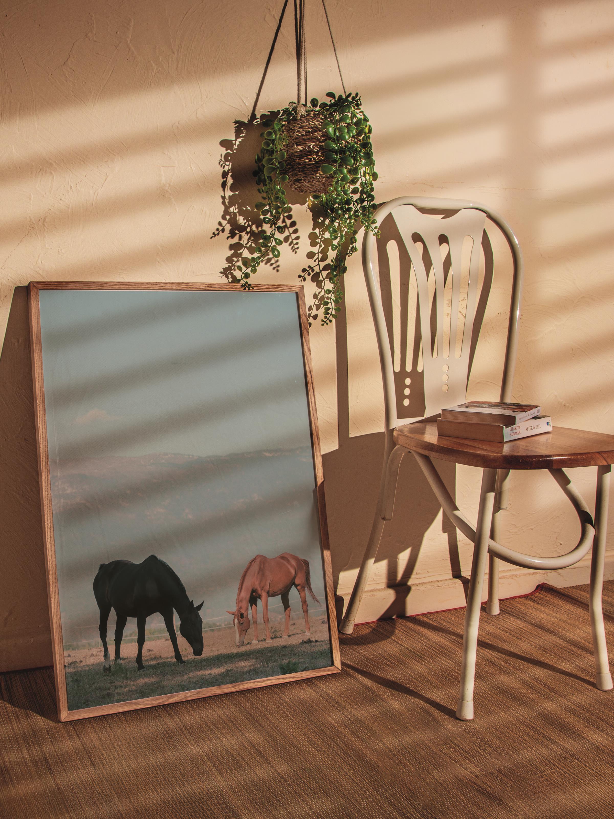 Çerçevesiz Poster, Hayvanlar & Safari Tablo No:42, HD Fotoğraf, Salon, Mutfak Duvar Dekoru Poster