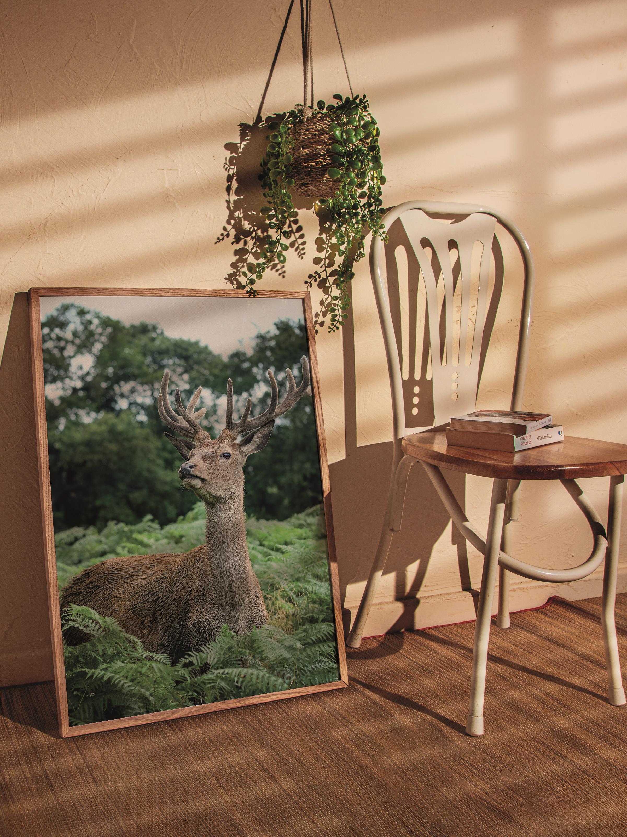 Çerçevesiz Poster, Hayvanlar & Safari Tablo No:47, HD Fotoğraf, Salon, Mutfak Duvar Dekoru Poster