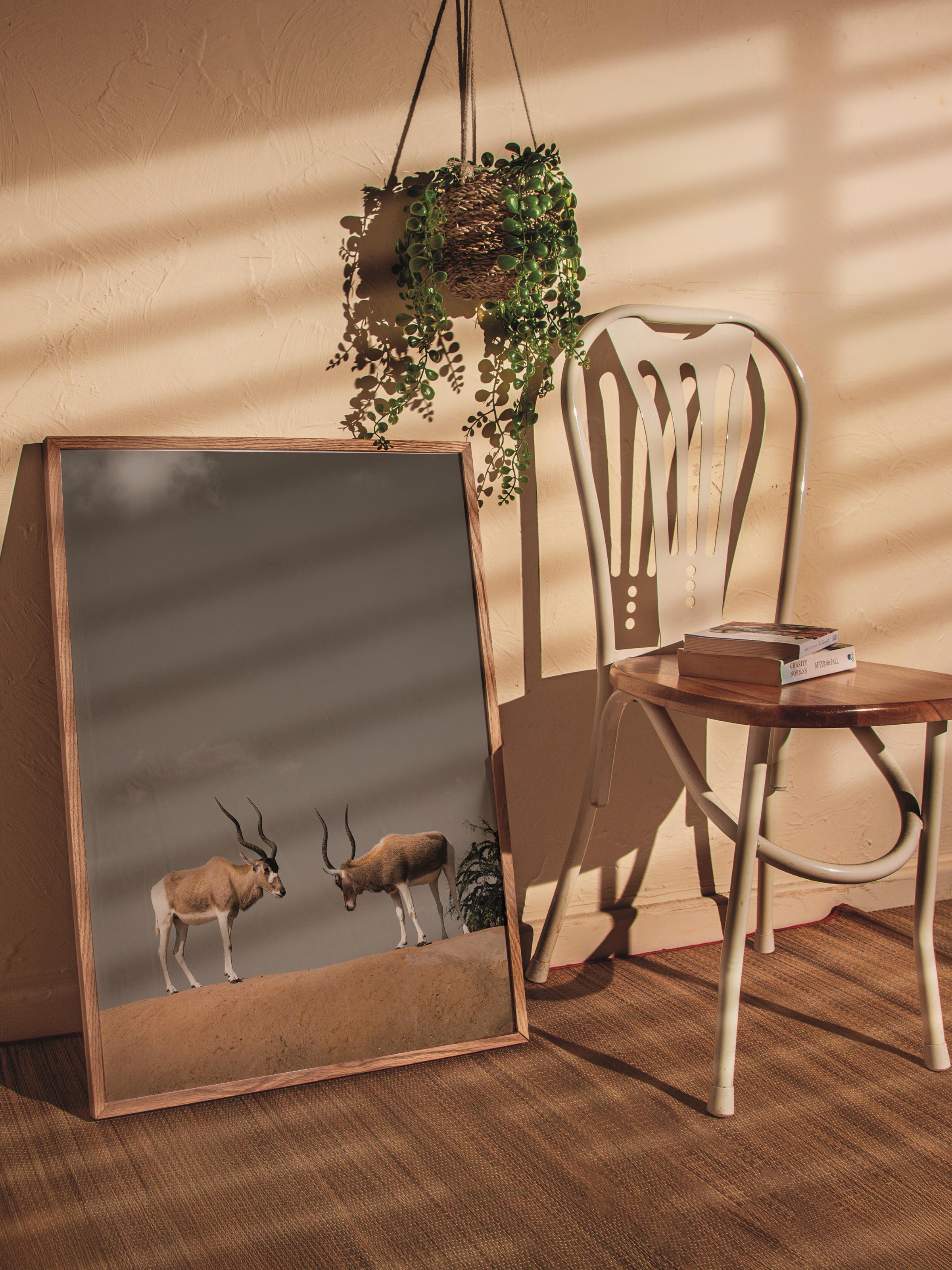 Çerçevesiz Poster, Hayvanlar & Safari Tablo No:49, HD Fotoğraf, Salon, Mutfak Duvar Dekoru Poster
