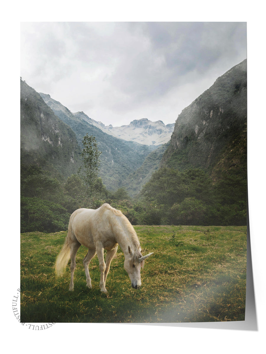 Vadide Tek Boynuzlu At Hayvanlar & Safari Çerçevesiz Poster