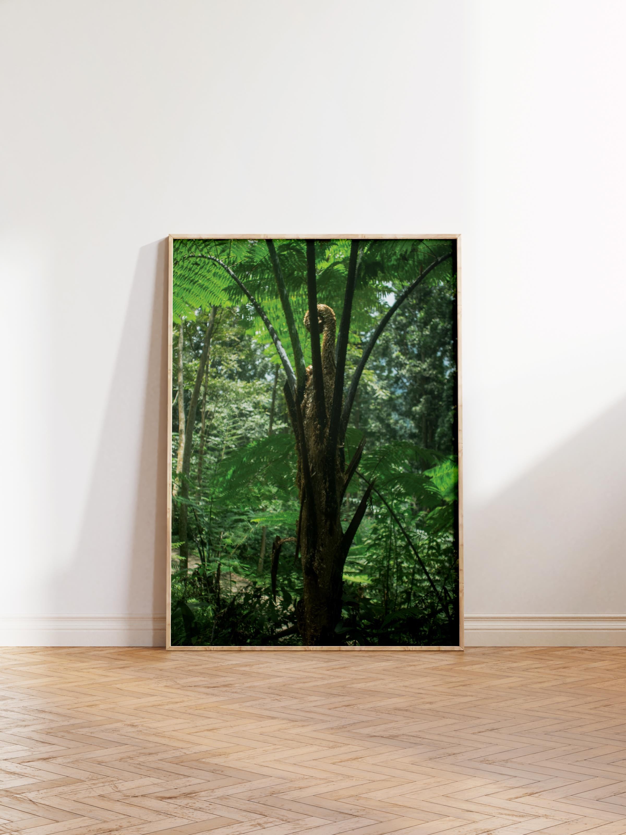 Çerçevesiz Poster Orman No:11, Fotoğraf Baskısı, Salon, Mutfak, Oturma Odası, Hol Duvar Dekoru Poster