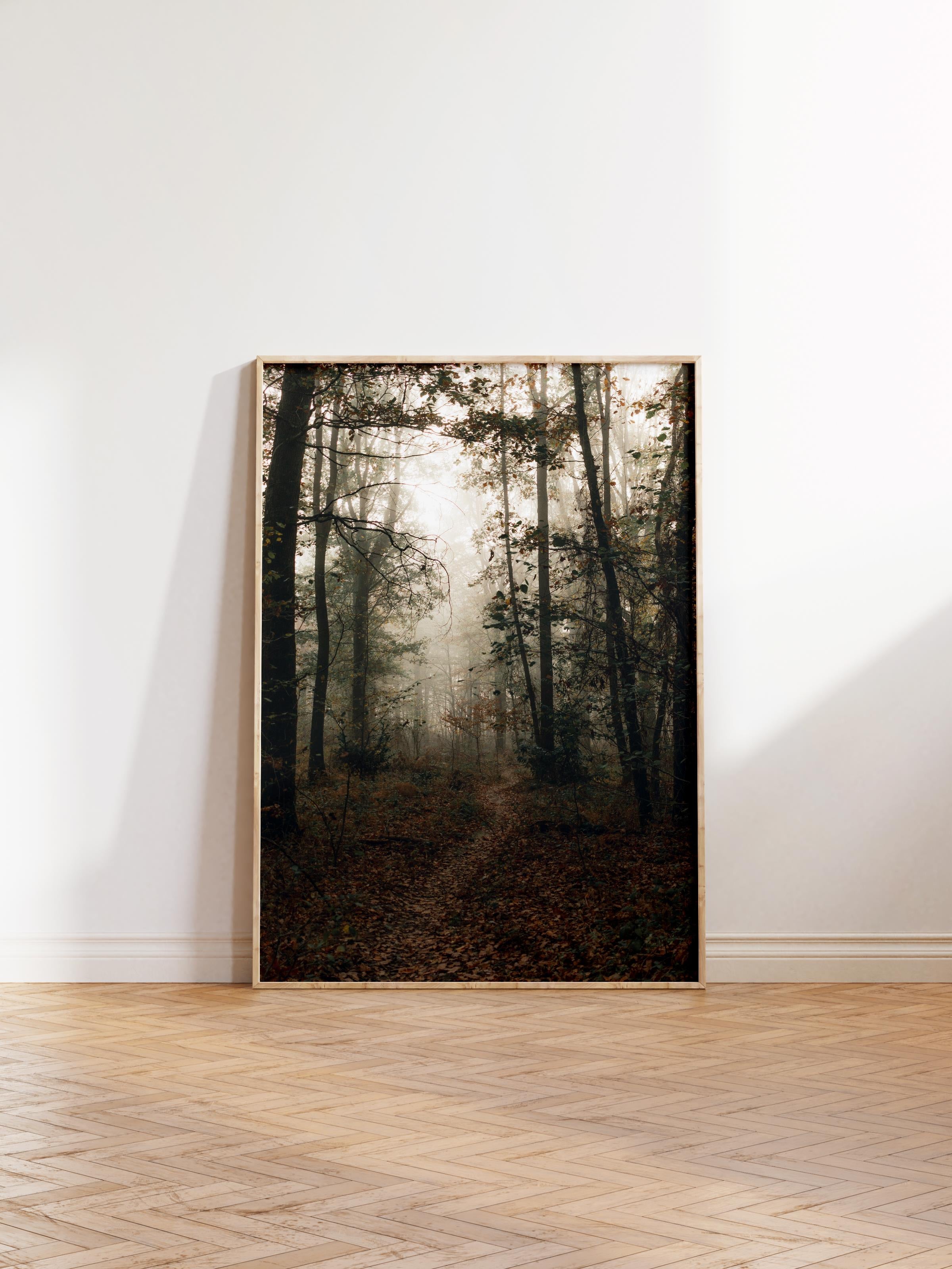 Çerçevesiz Poster Orman No:15, Fotoğraf Baskısı, Salon, Mutfak, Oturma Odası, Hol Duvar Dekoru Poster