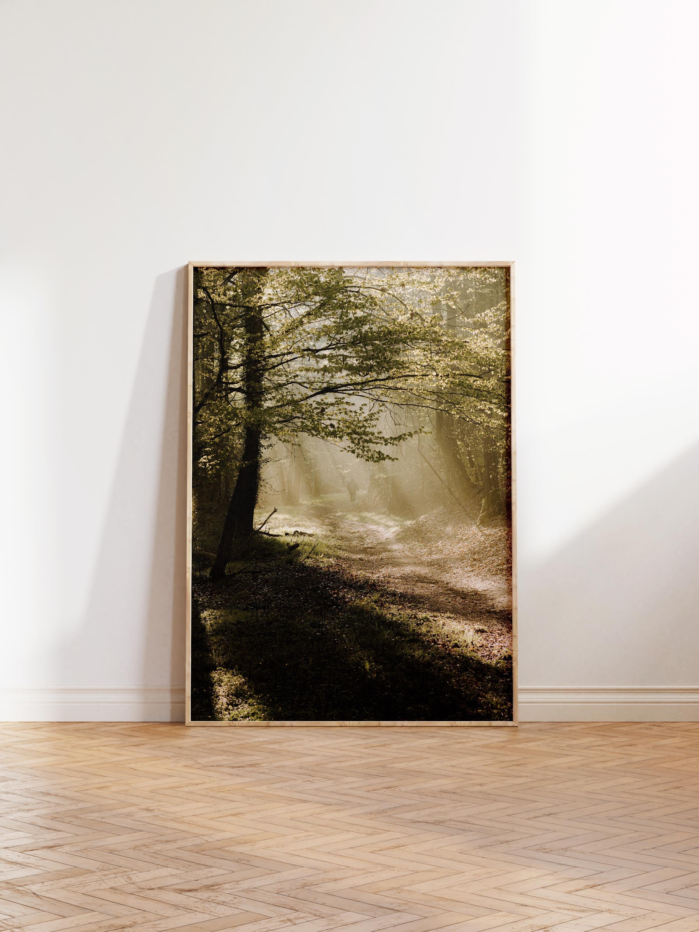 Çerçevesiz Poster Orman No:19, Fotoğraf Baskısı, Salon, Mutfak, Oturma Odası, Hol Duvar Dekoru Poster
